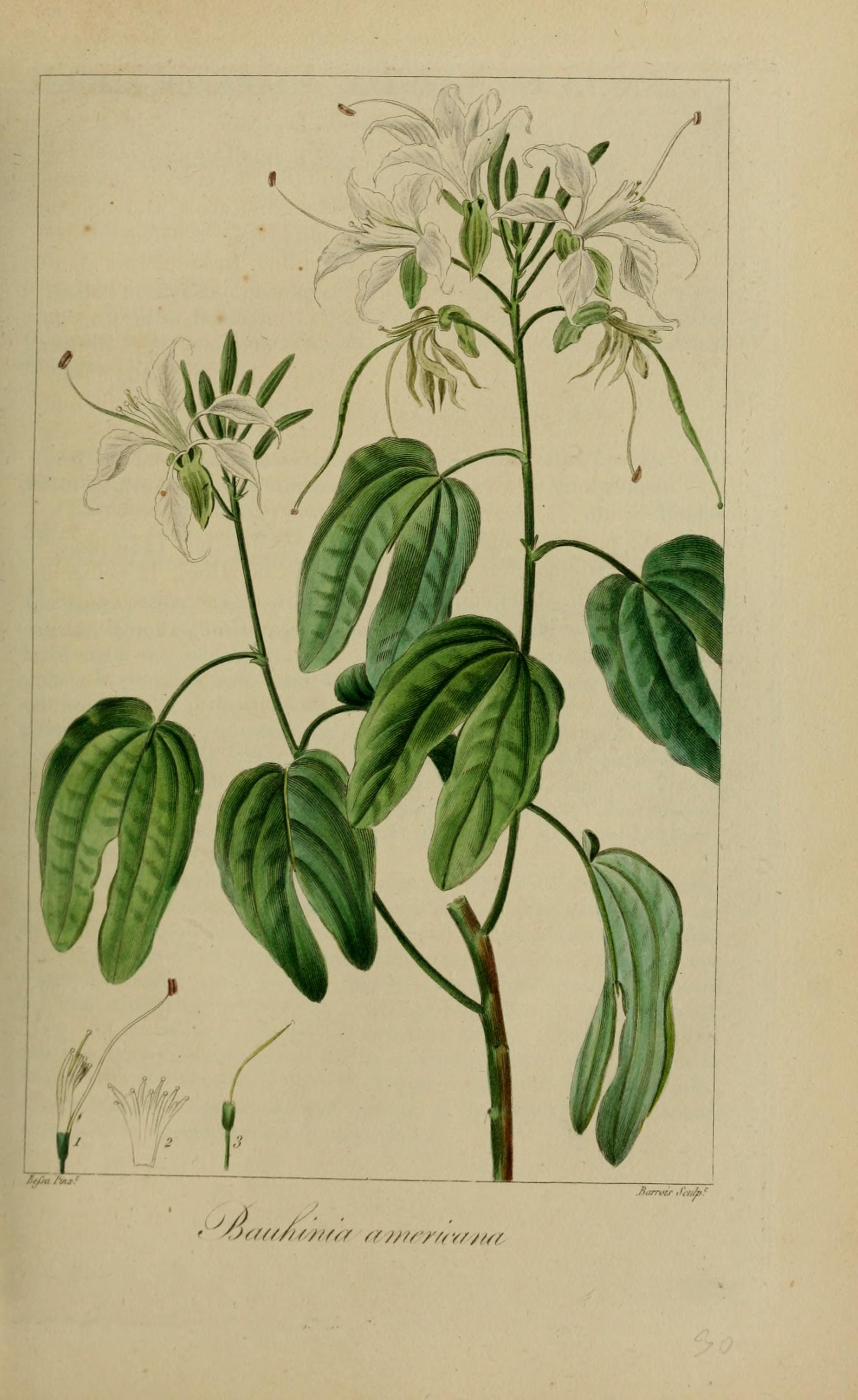 no full size  illustration available (3a)