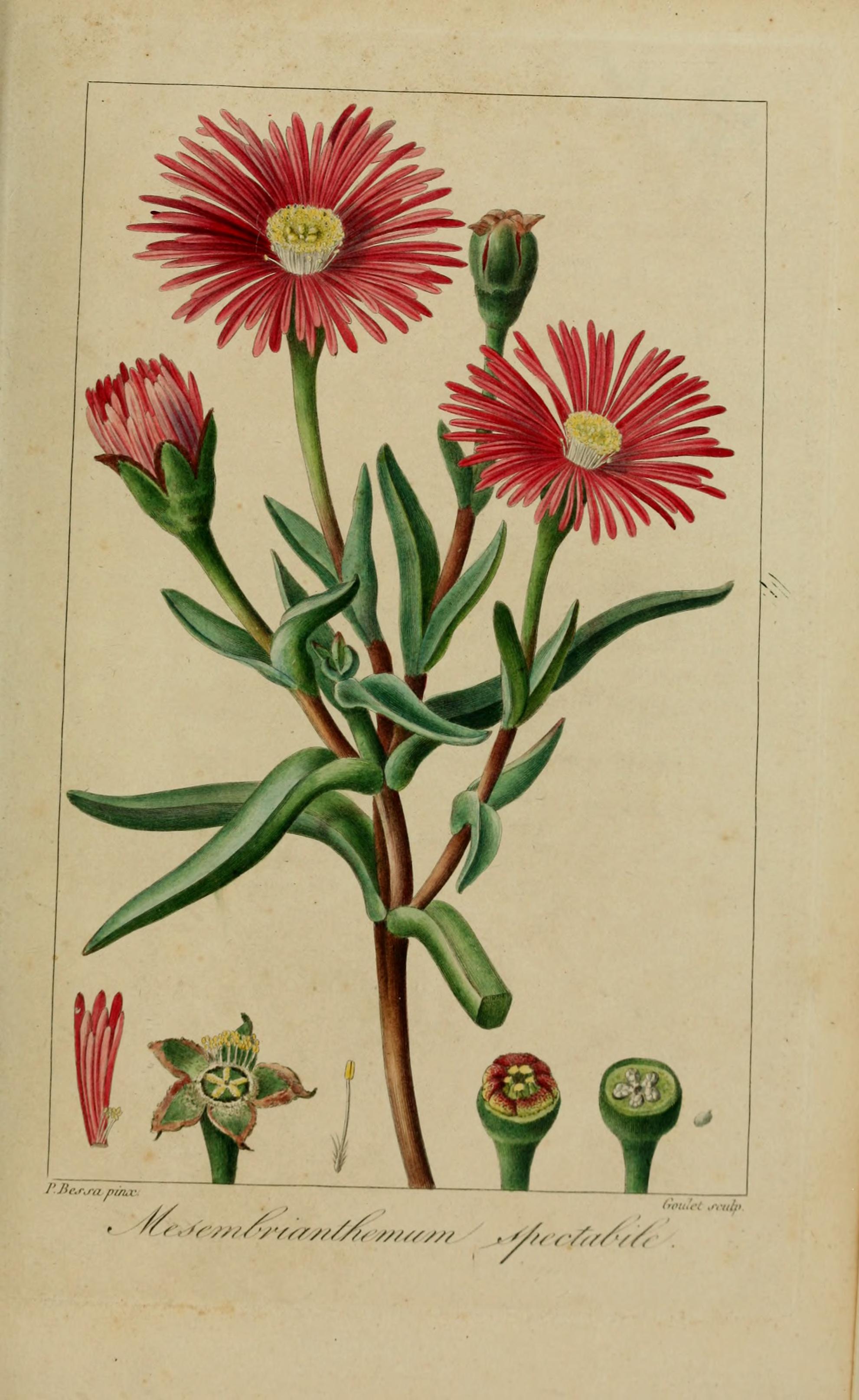 no full size  illustration available (3a)