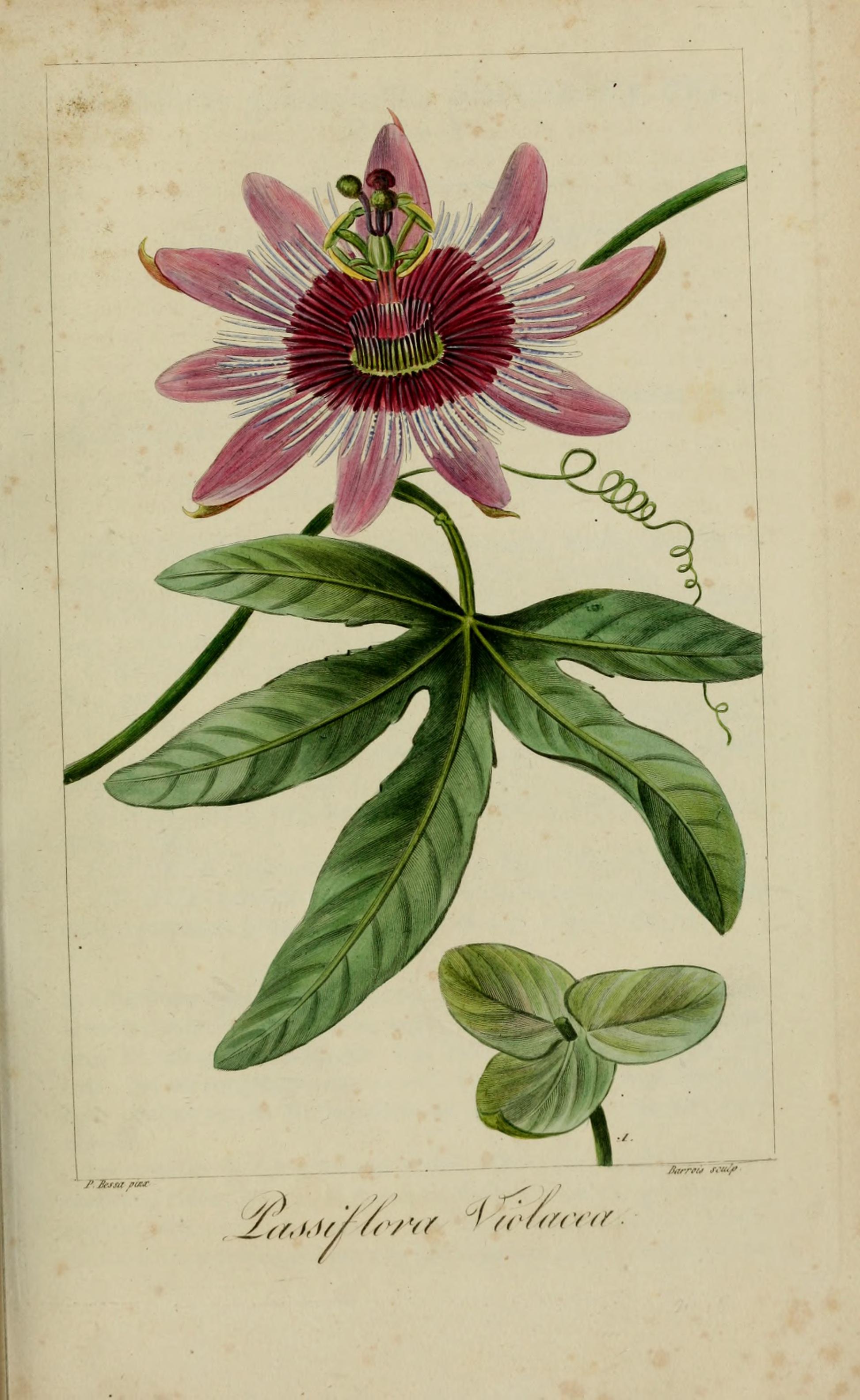 no full size  illustration available (3a)