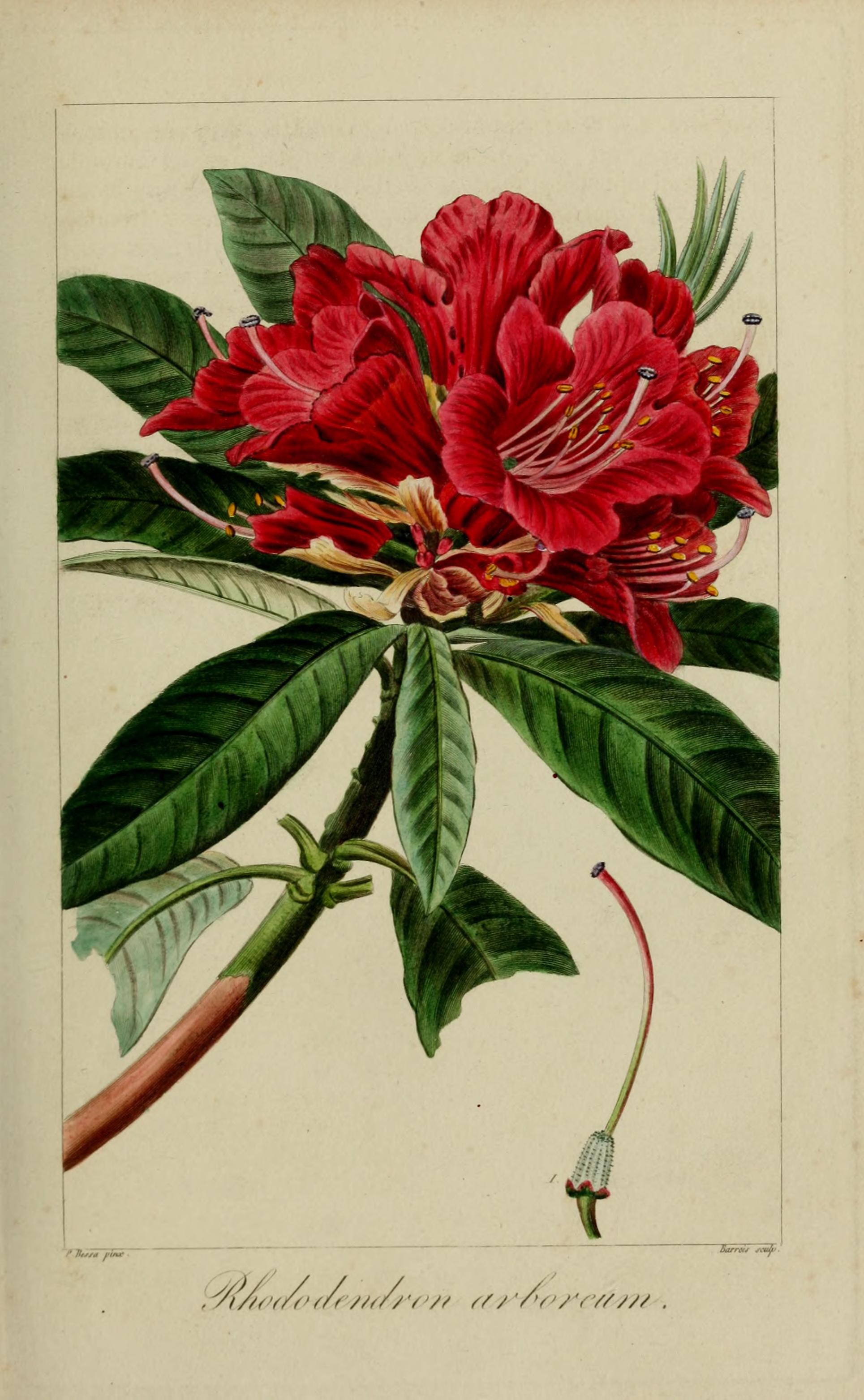 no full size  illustration available (3a)