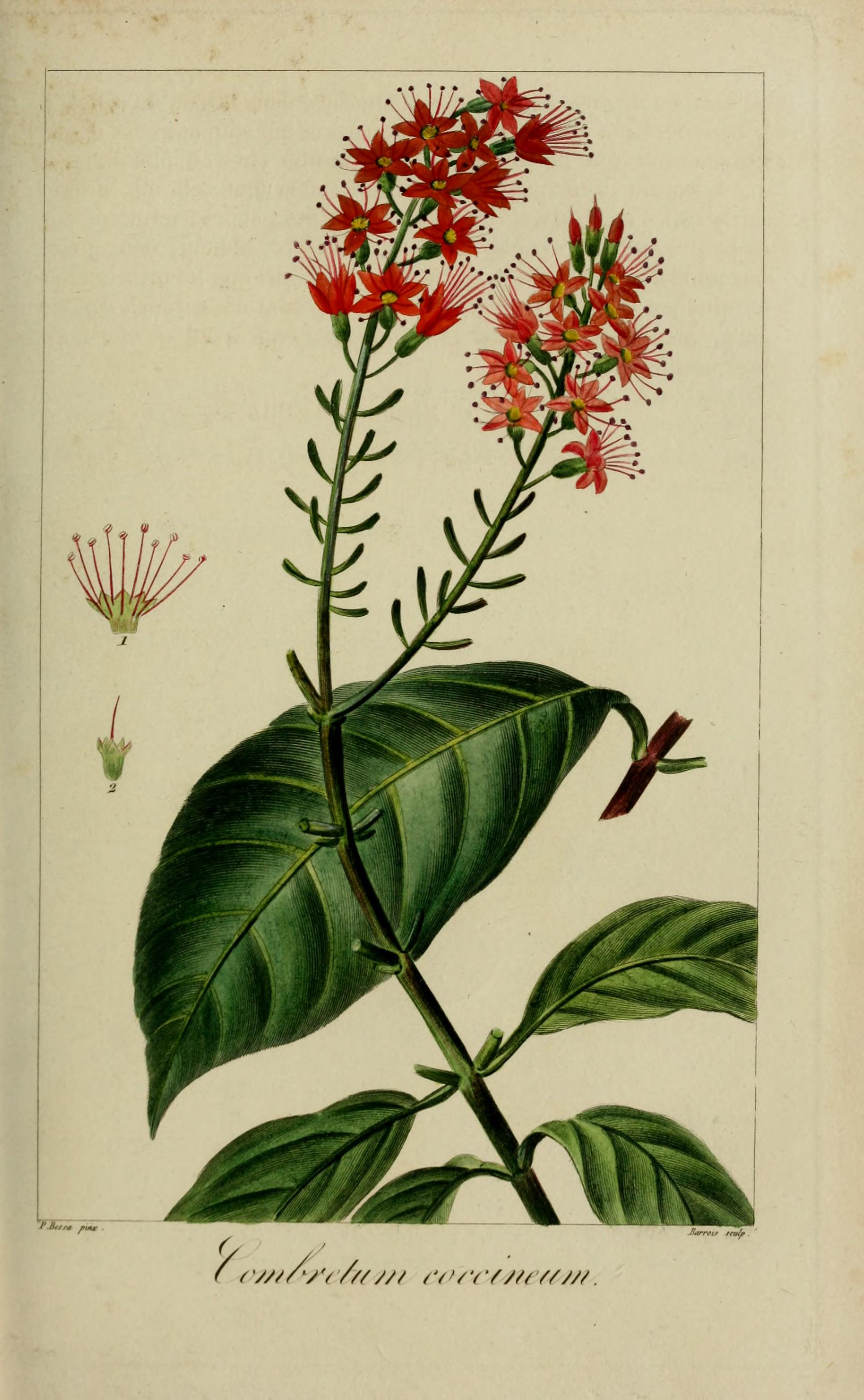 no full size  illustration available (3a)