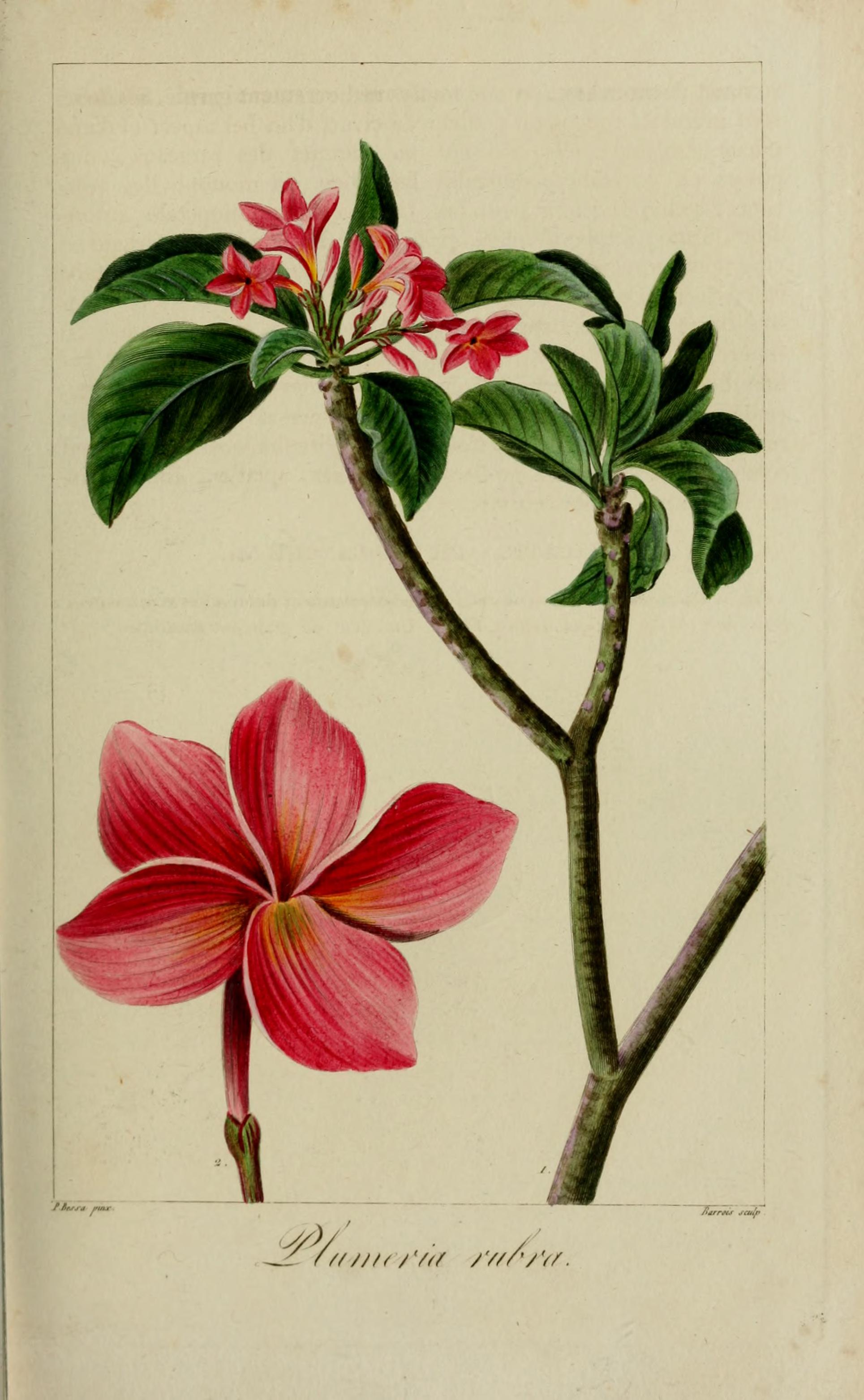 no full size  illustration available (3a)