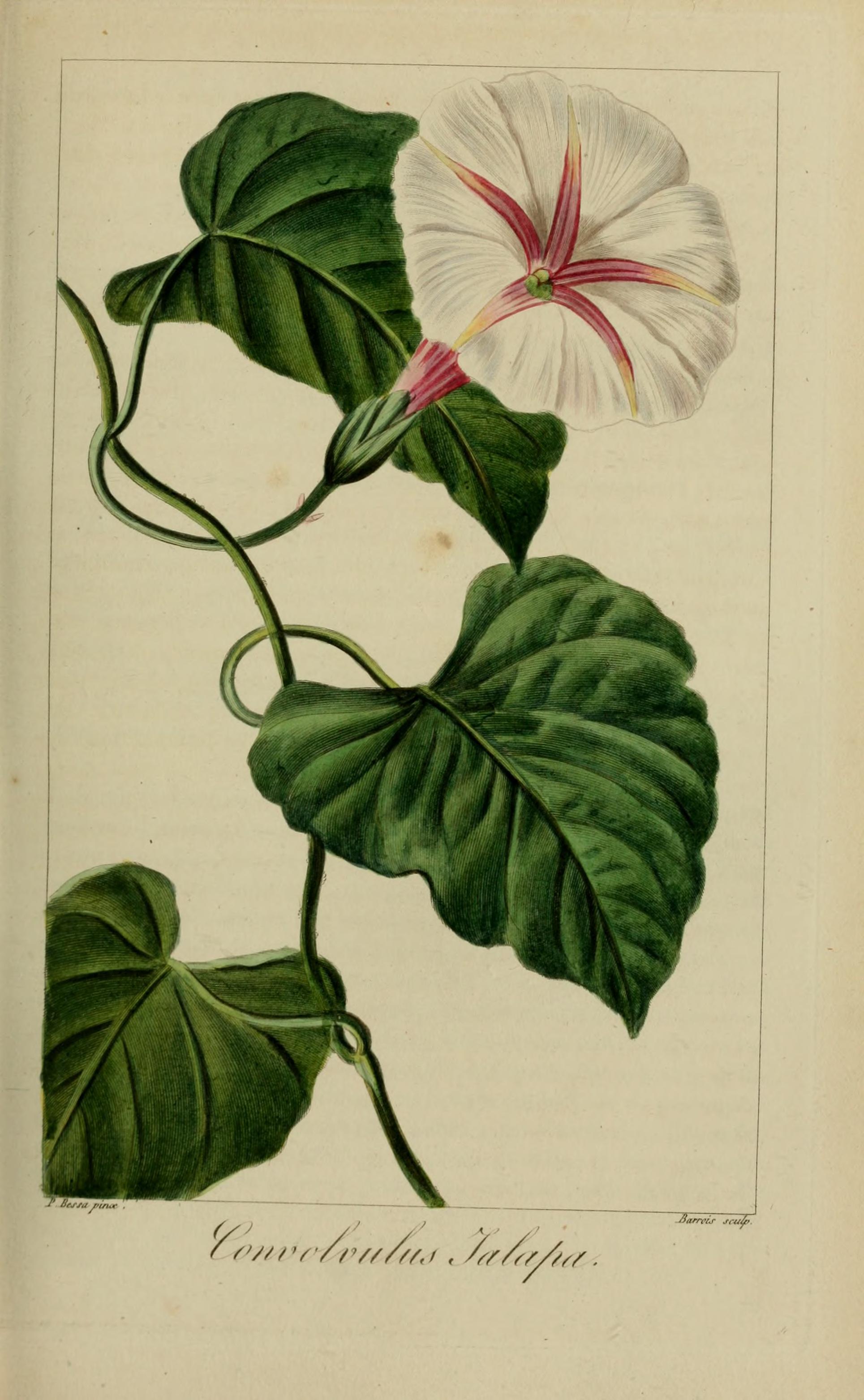 no full size  illustration available (3a)