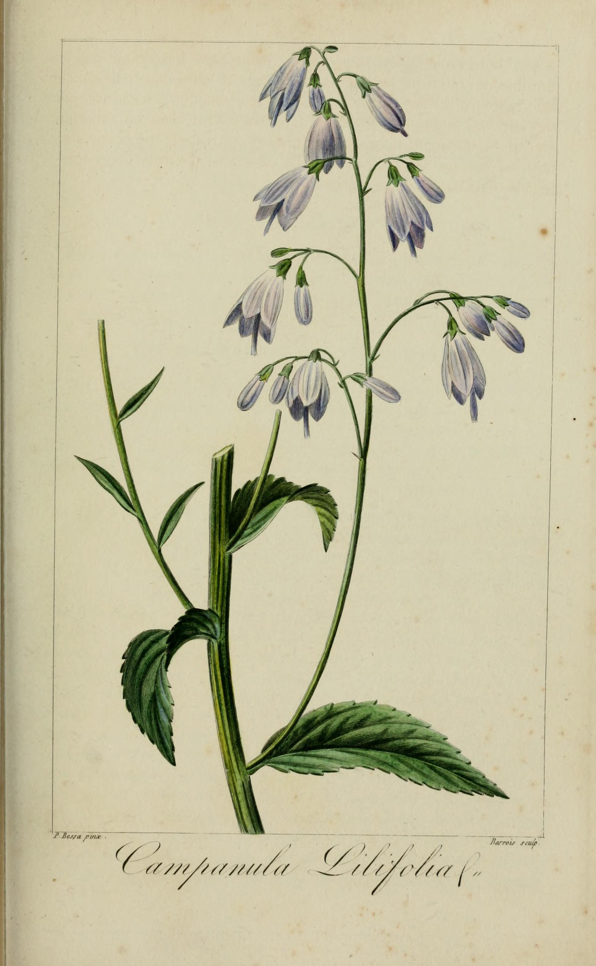 no full size  illustration available (3a)