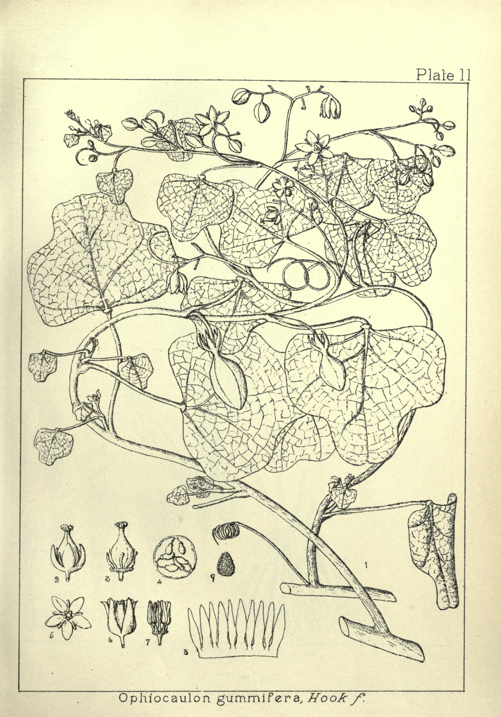 no full size  illustration available (3a)