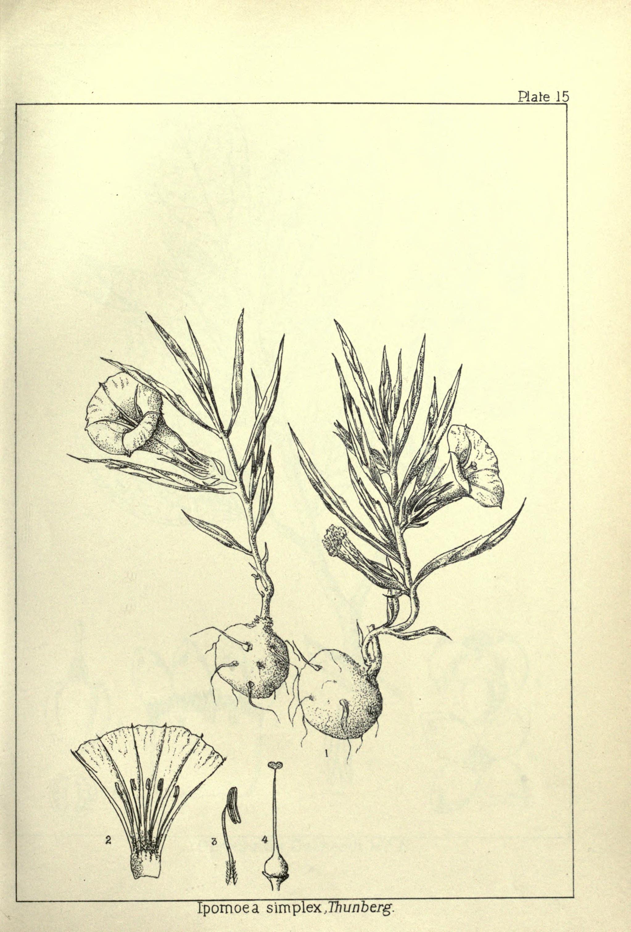 no full size  illustration available (3a)