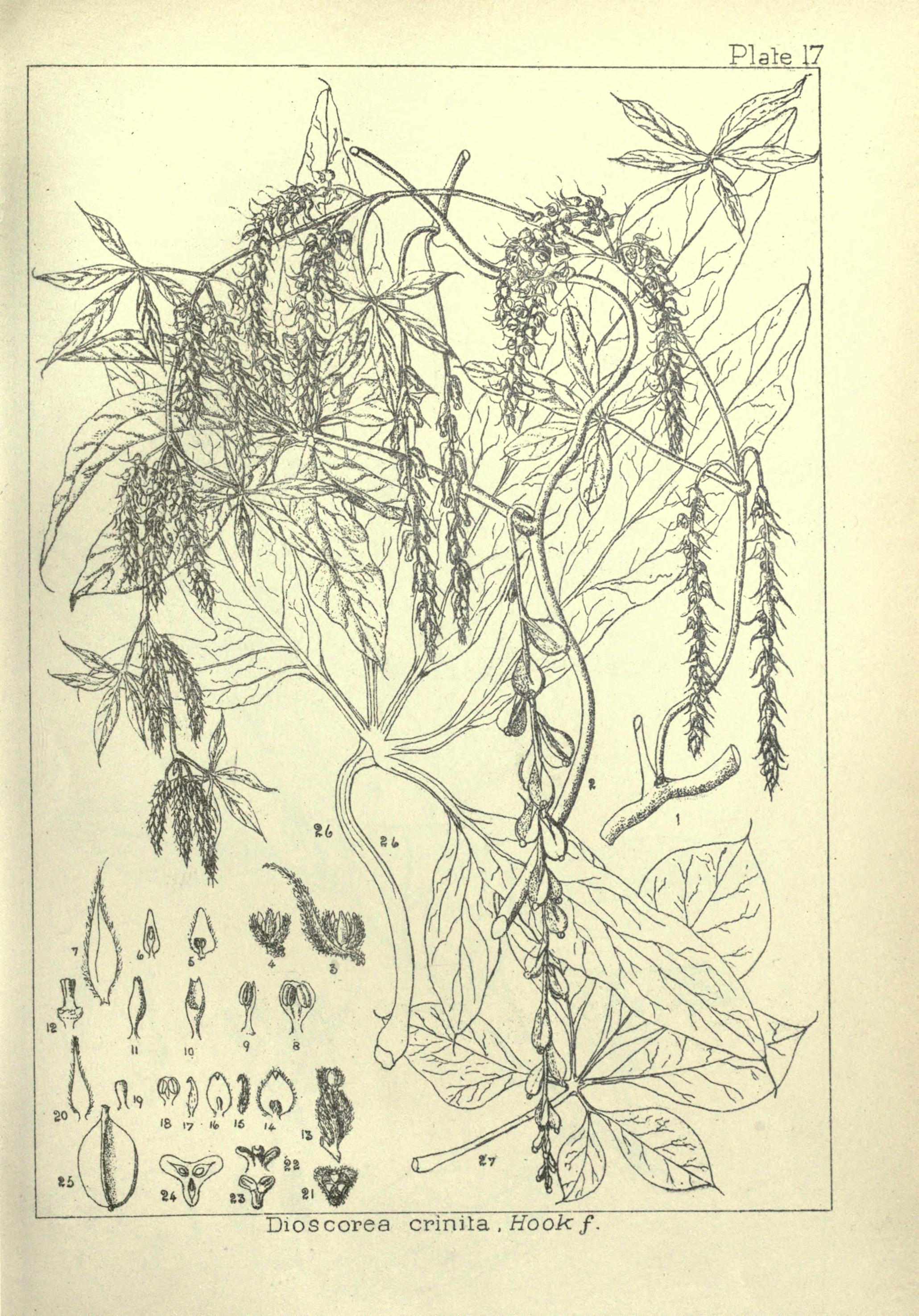 no full size  illustration available (3a)