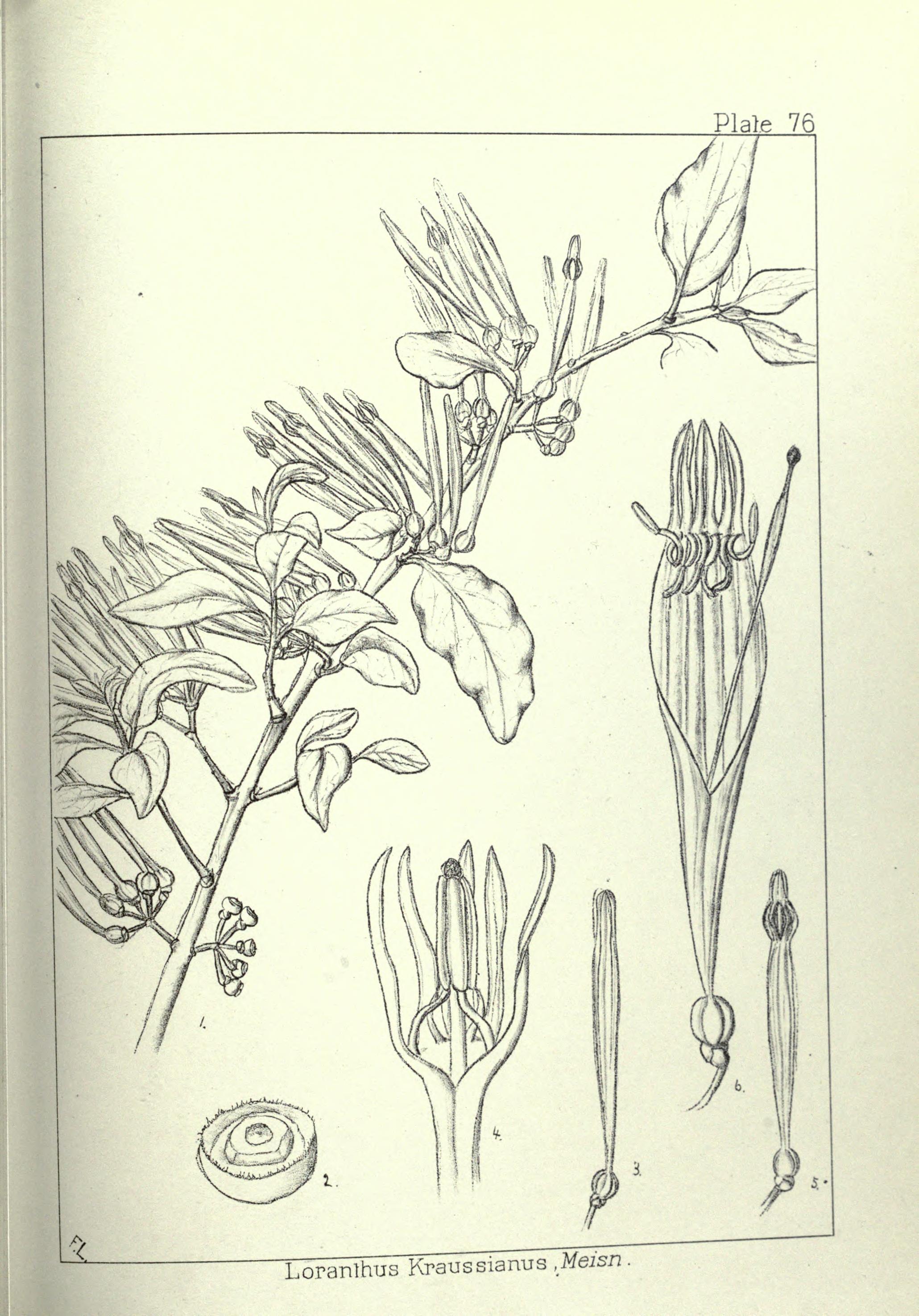 no full size  illustration available (3a)