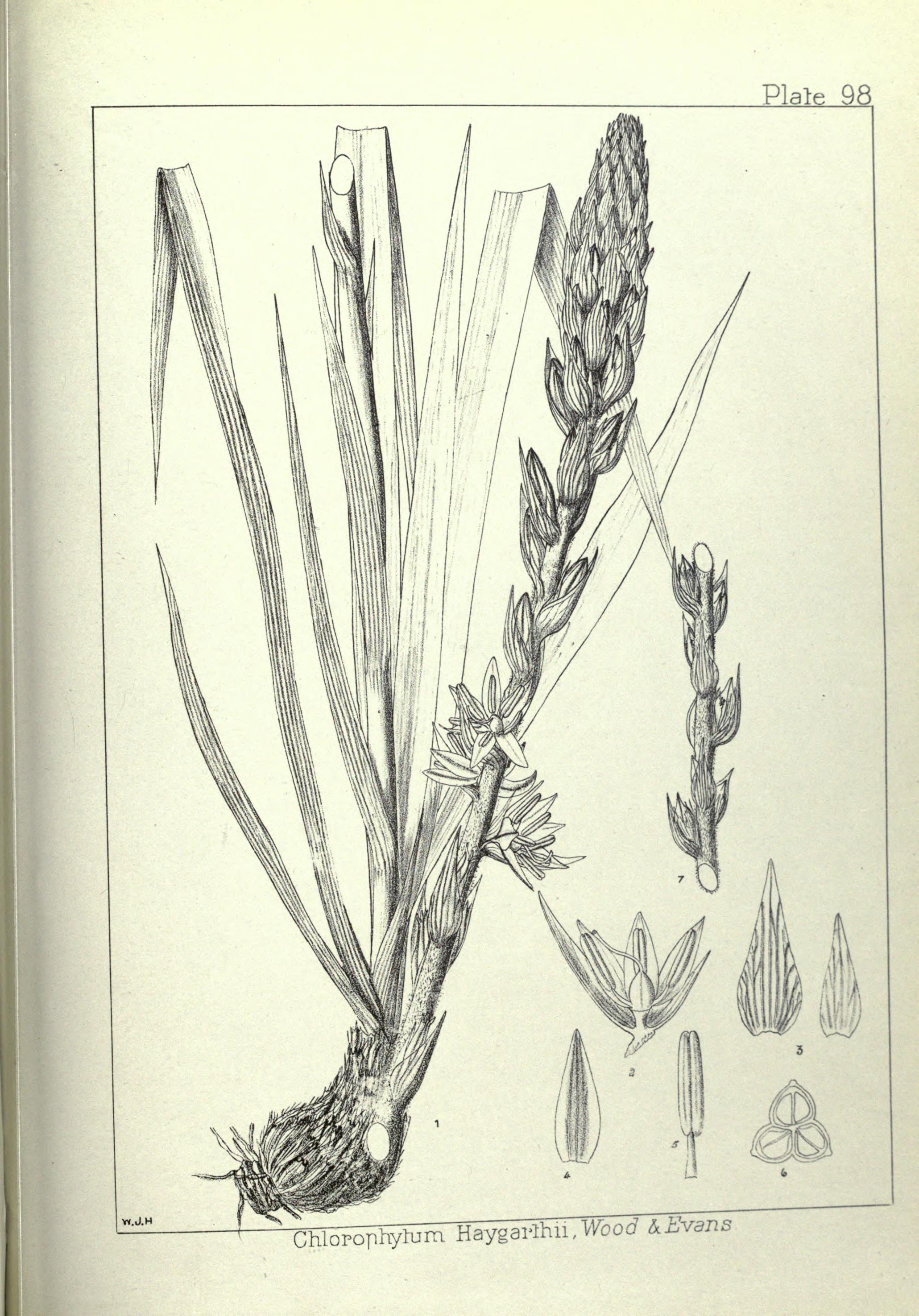 no full size  illustration available (3a)