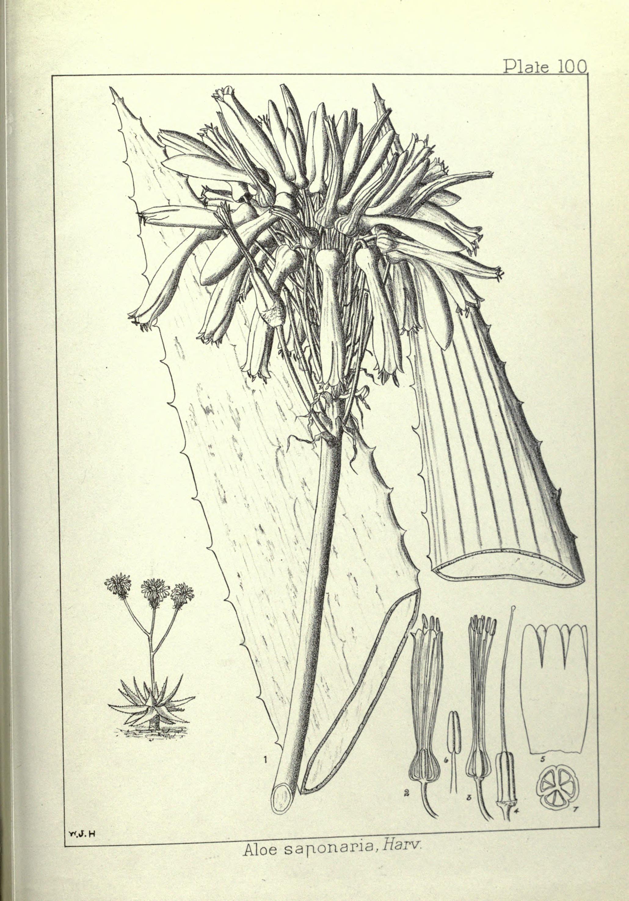 no full size  illustration available (3a)