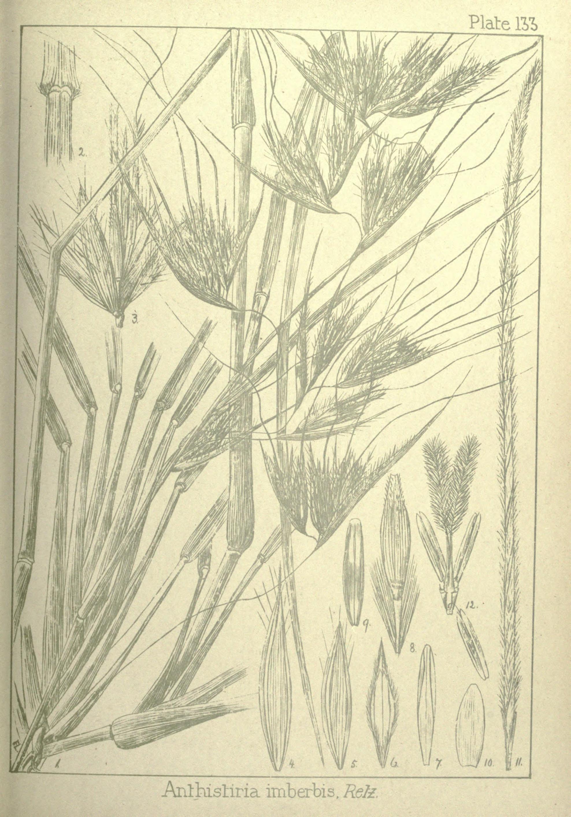 no full size  illustration available (3a)