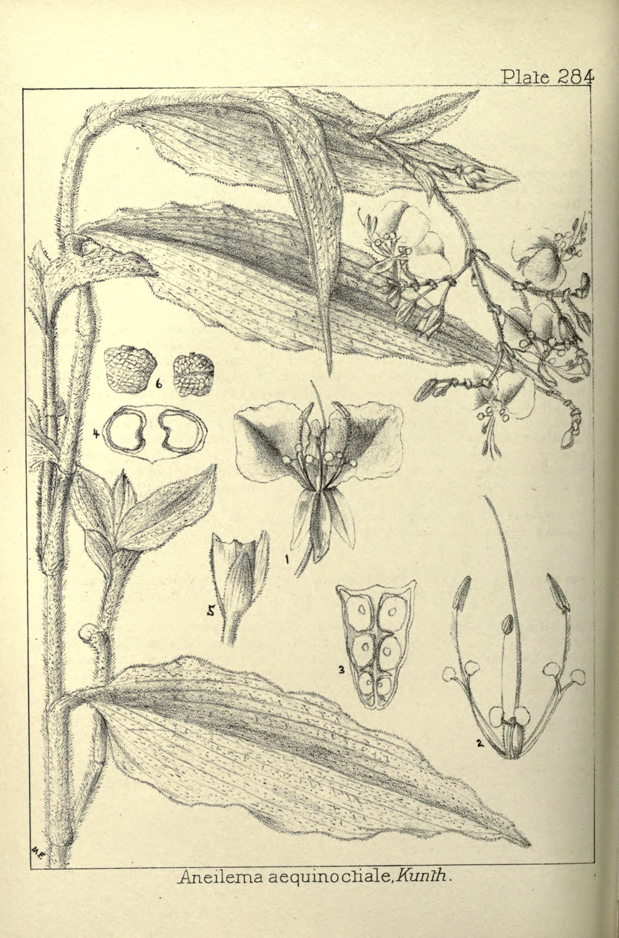 no full size  illustration available (3a)