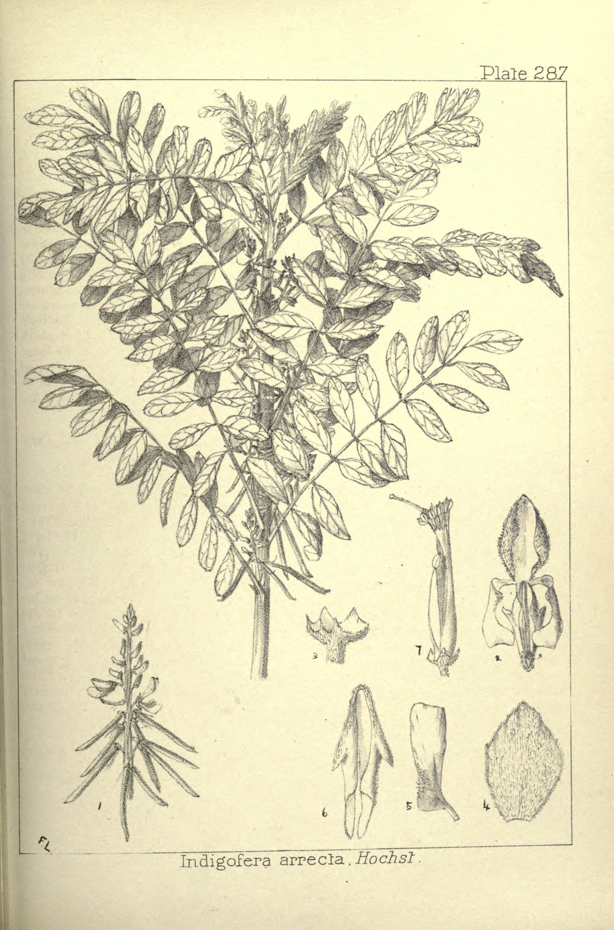 no full size  illustration available (3a)