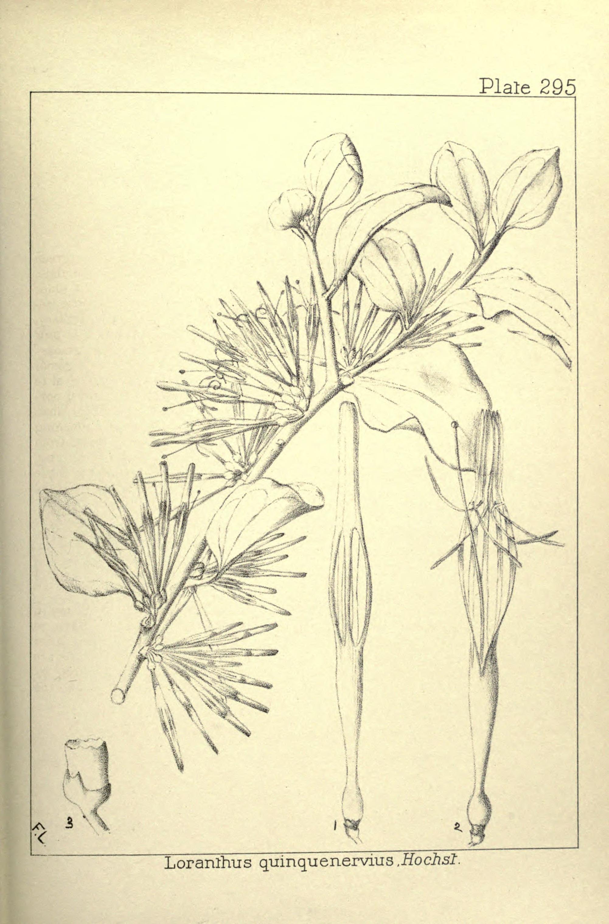 no full size  illustration available (3a)