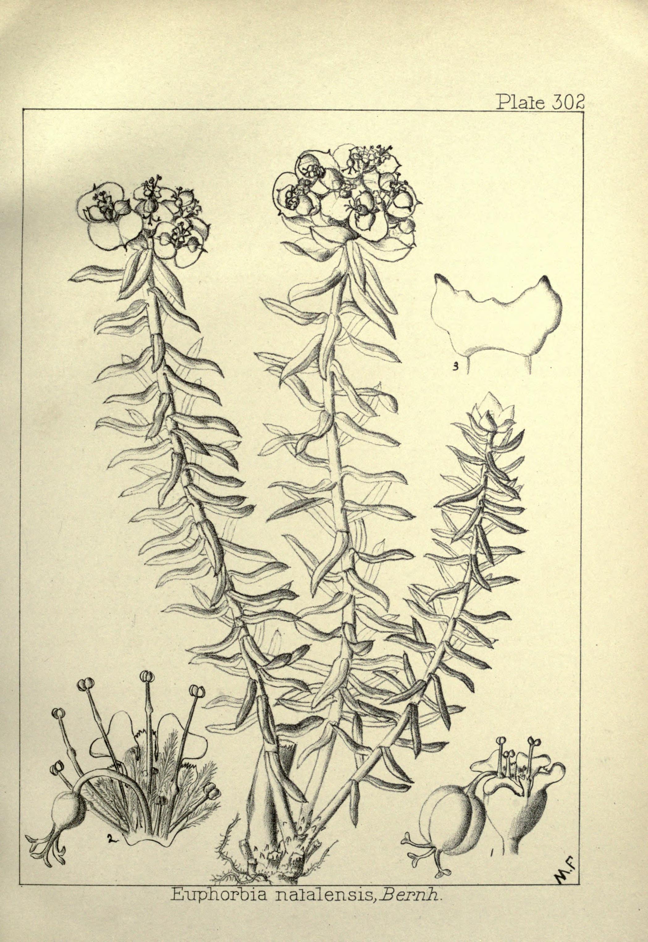 no full size  illustration available (3a)