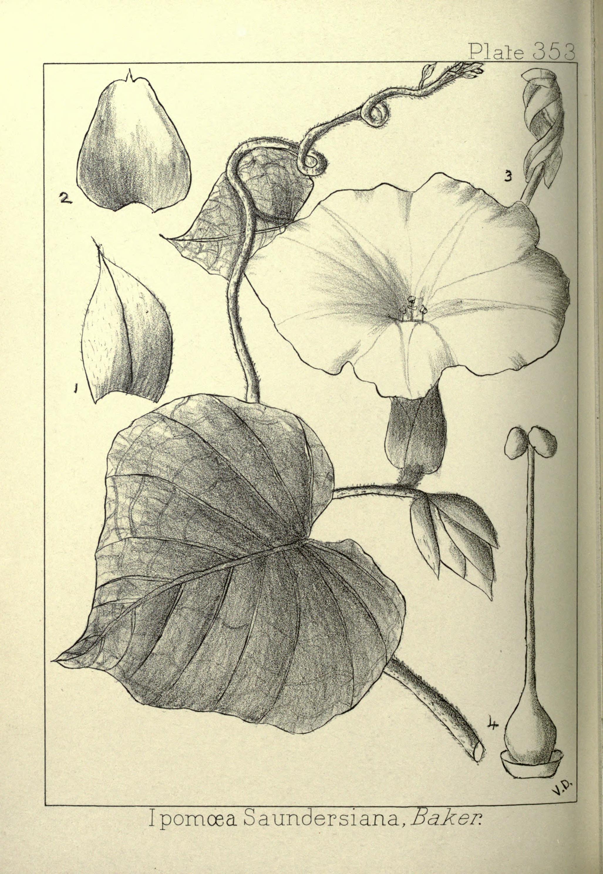 no full size  illustration available (3a)