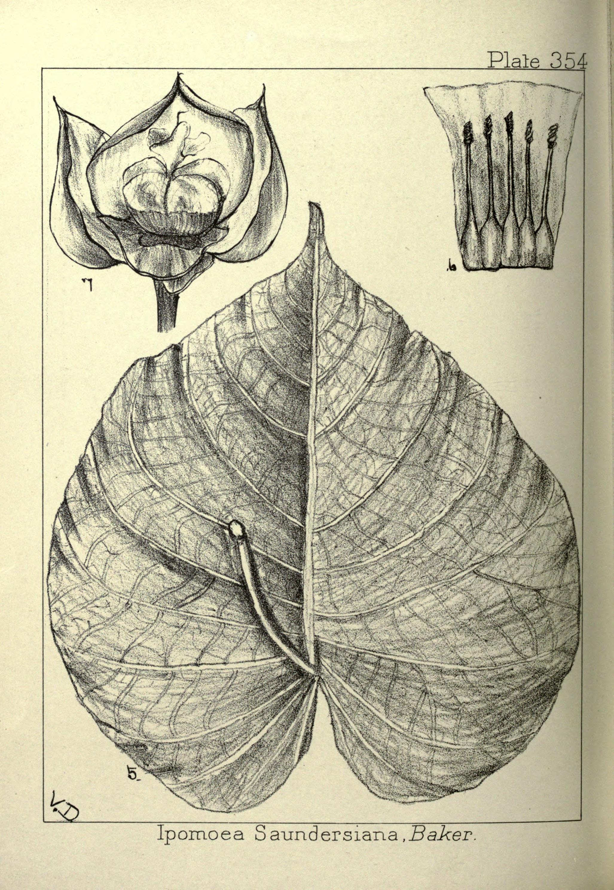 no full size  illustration available (3a)