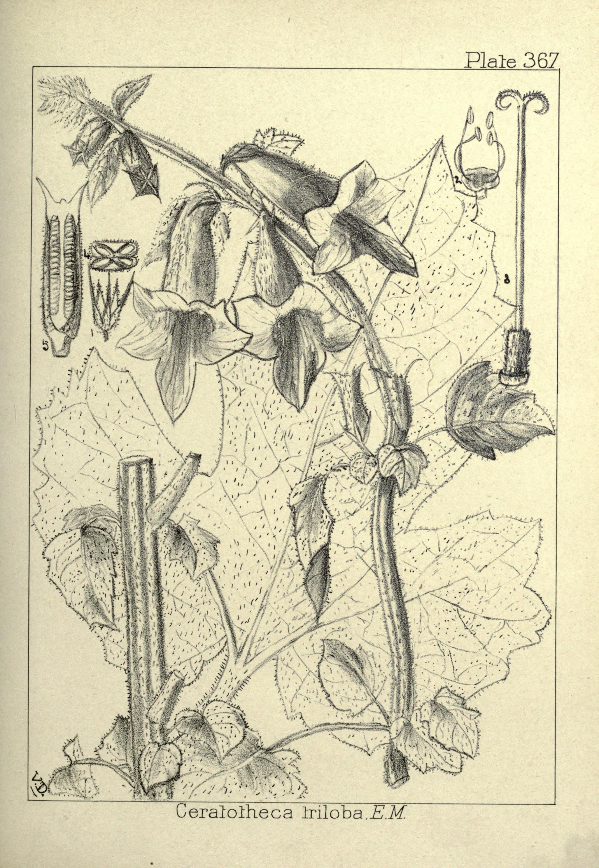 no full size  illustration available (3a)