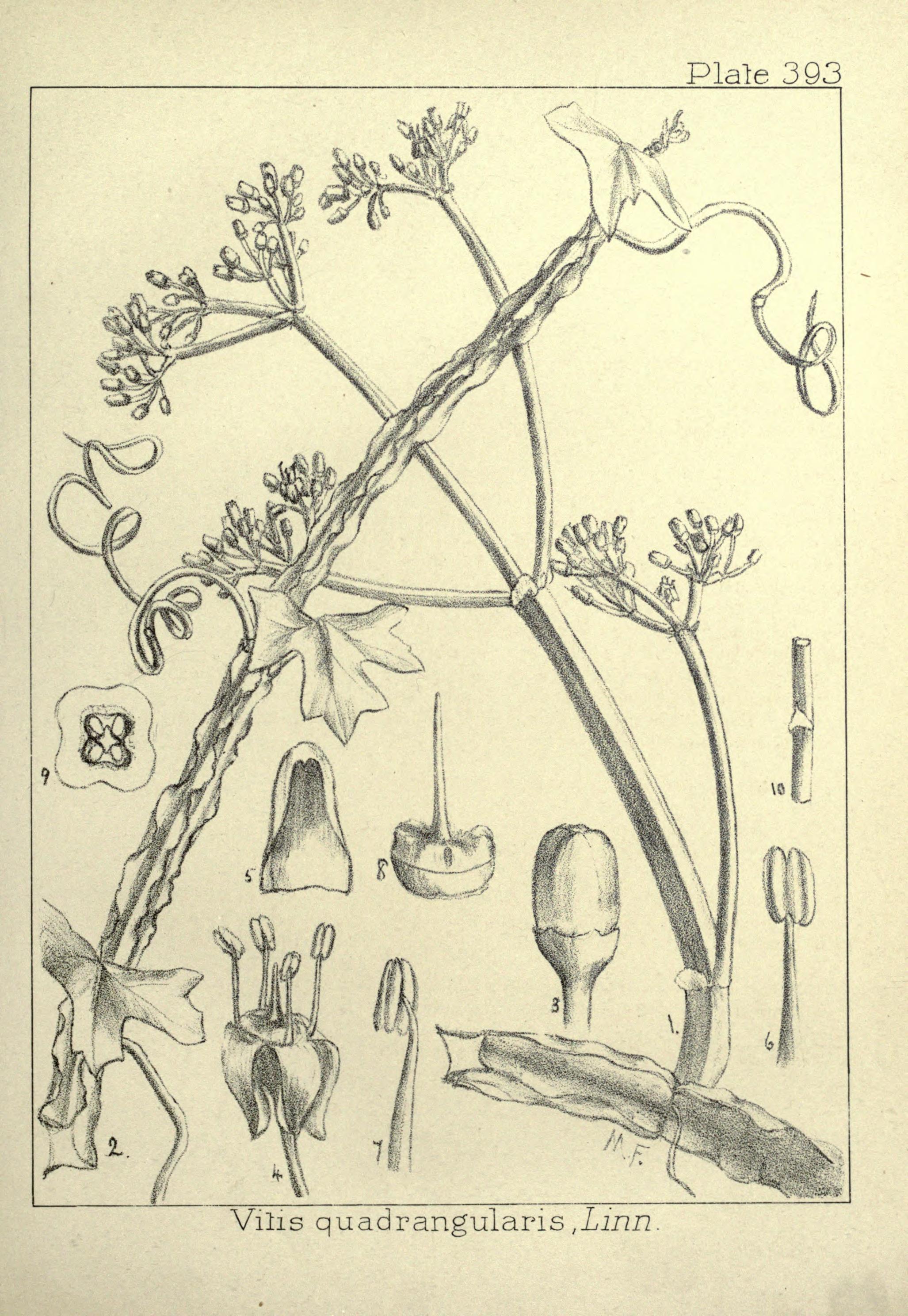 no full size  illustration available (3a)