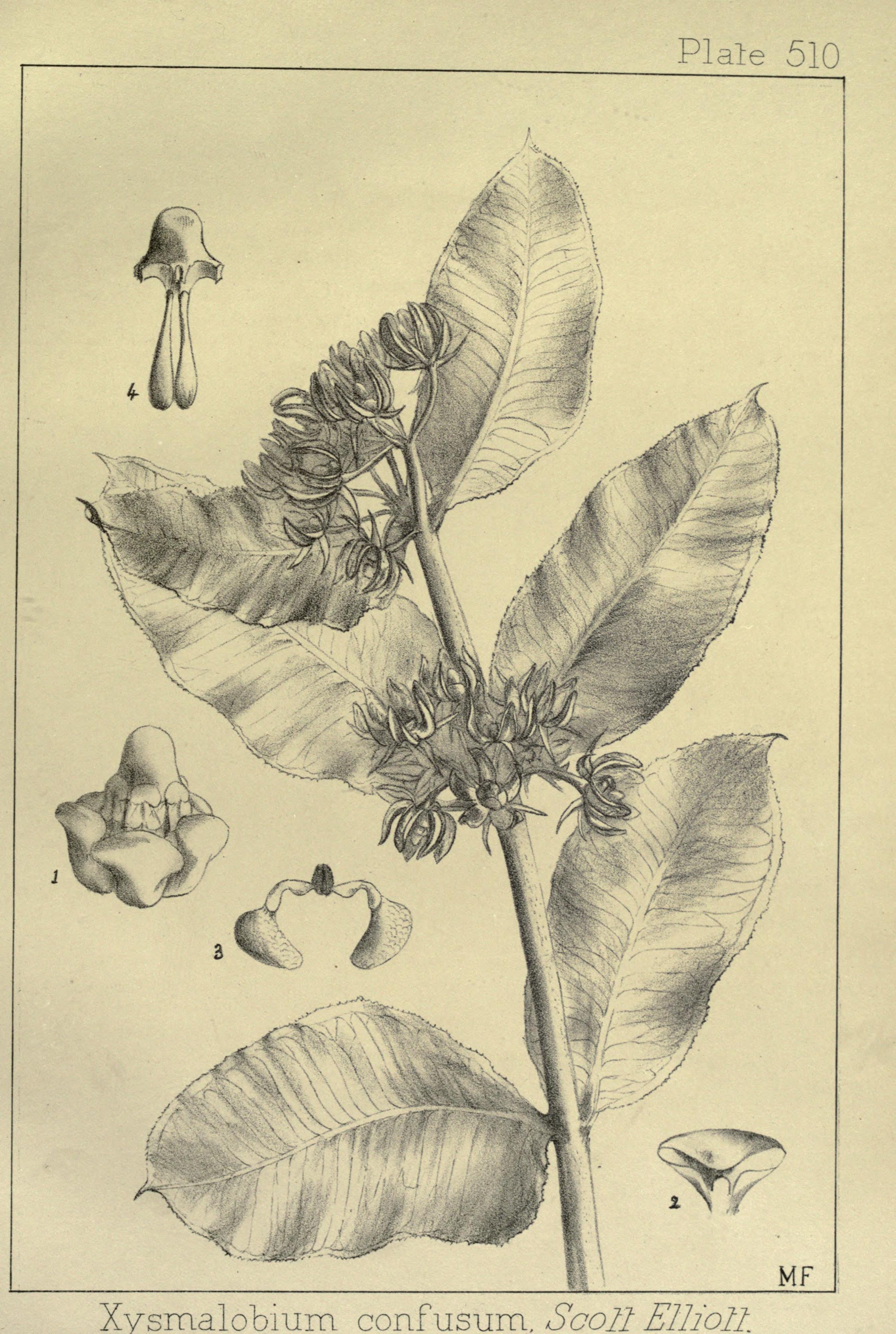 no full size  illustration available (3a)