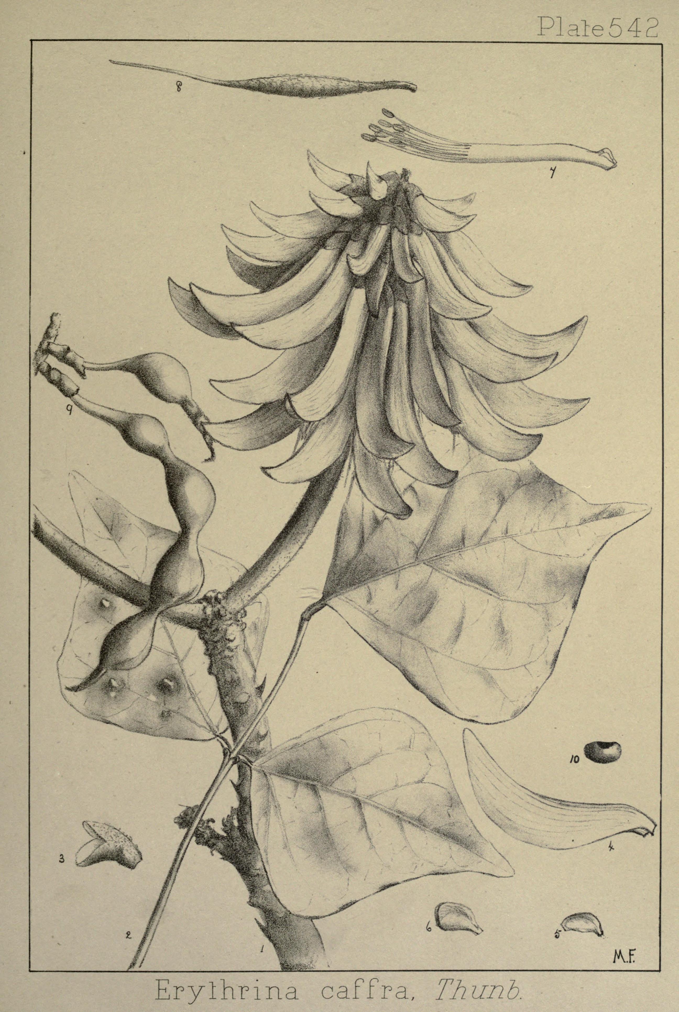 no full size  illustration available (3a)