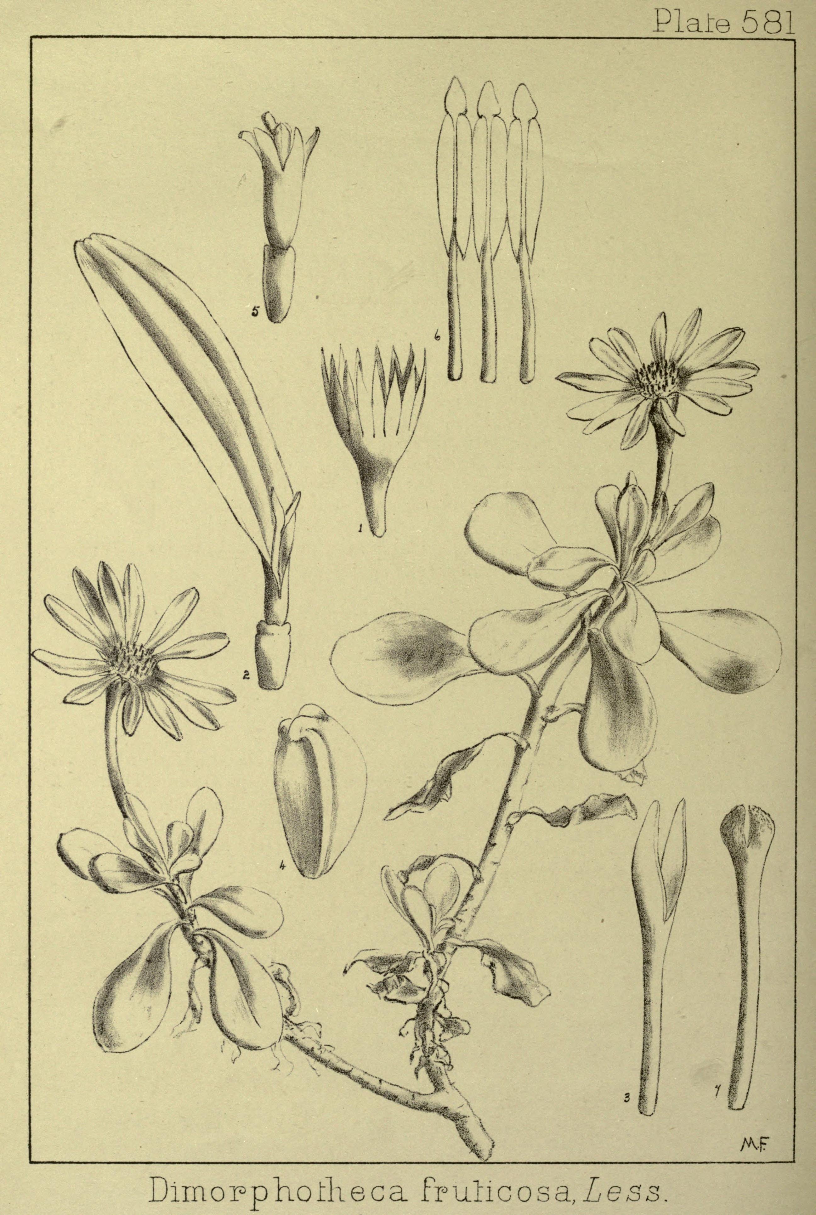 no full size  illustration available (3a)