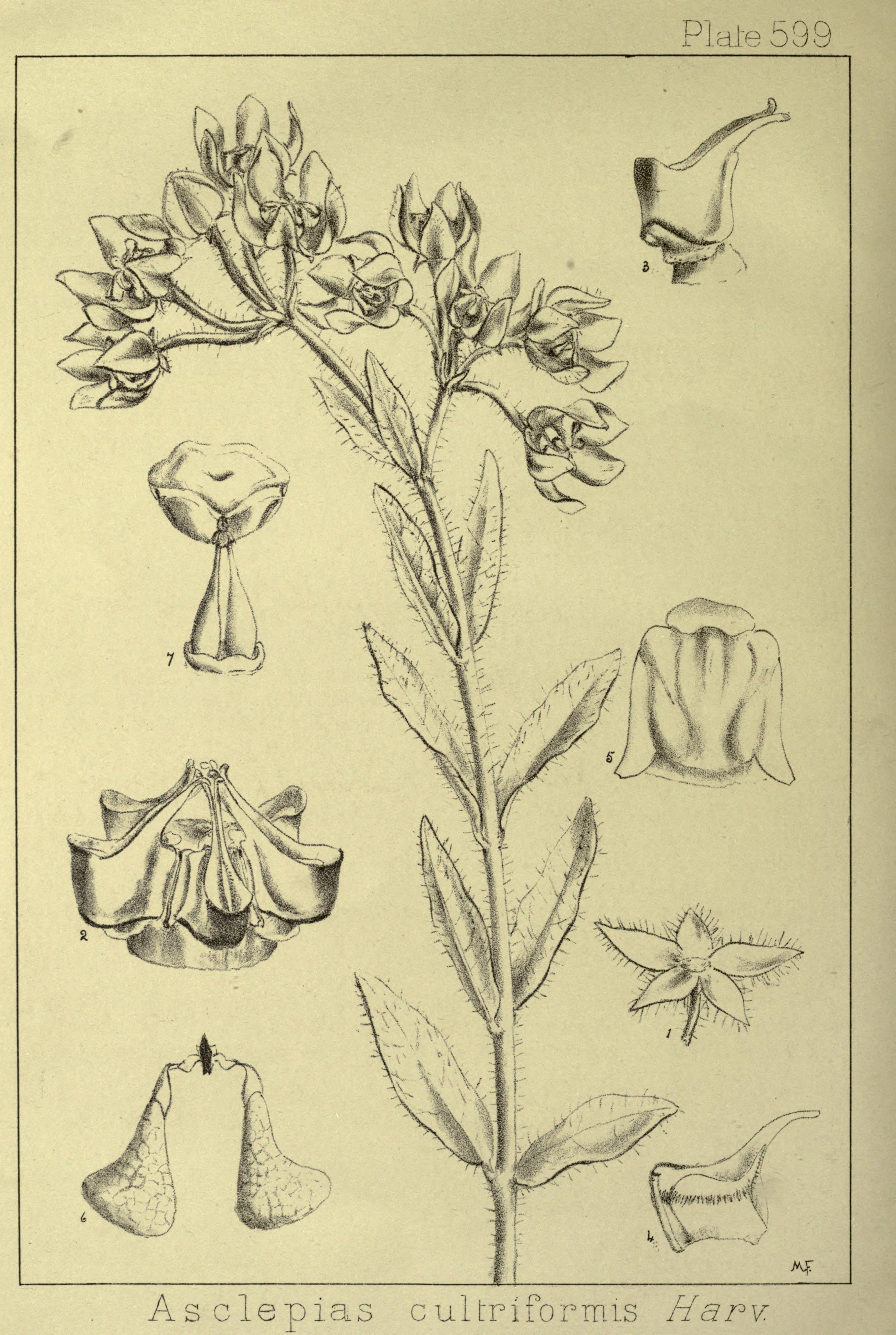 no full size  illustration available (3a)