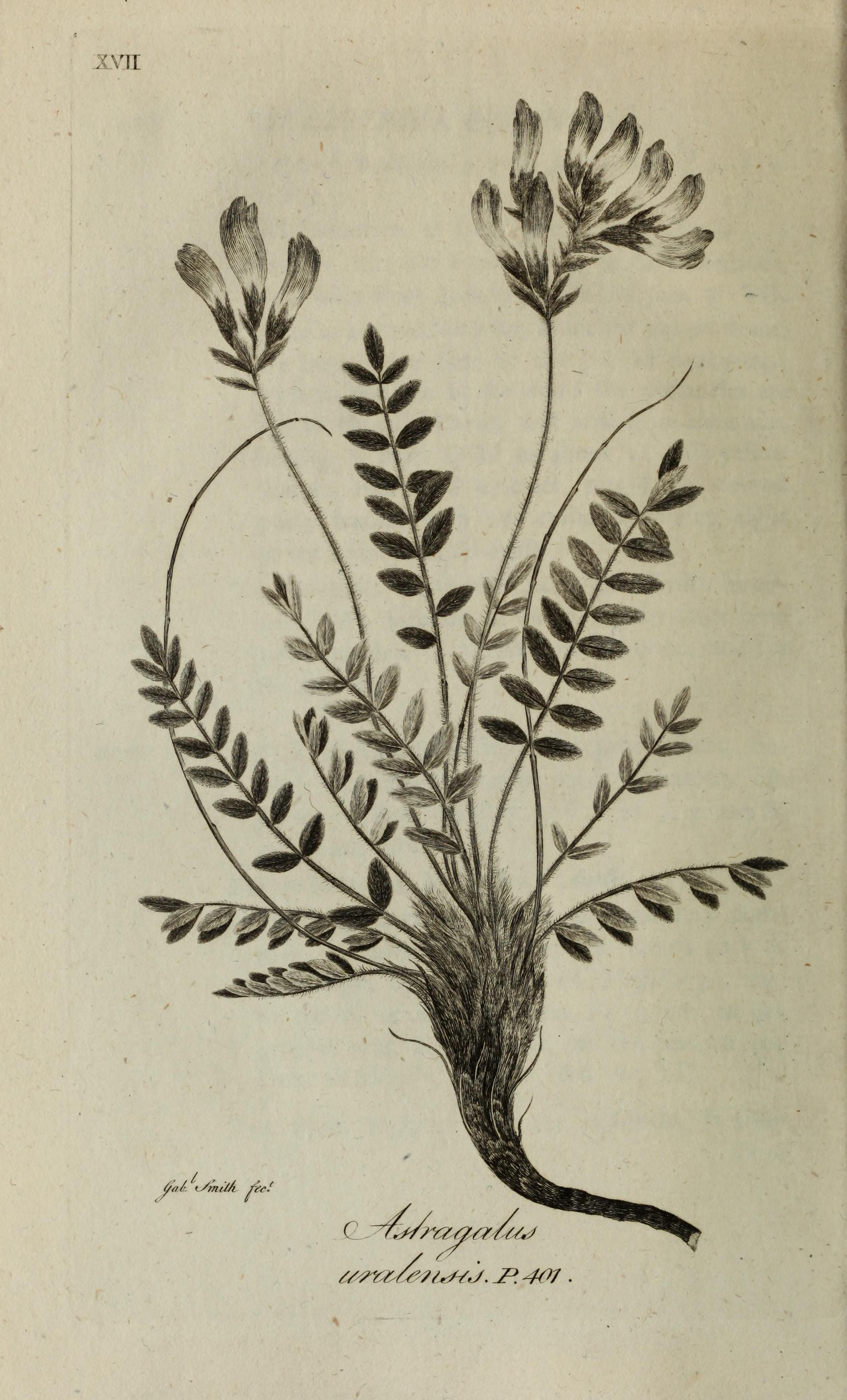 no full size  illustration available (3a)