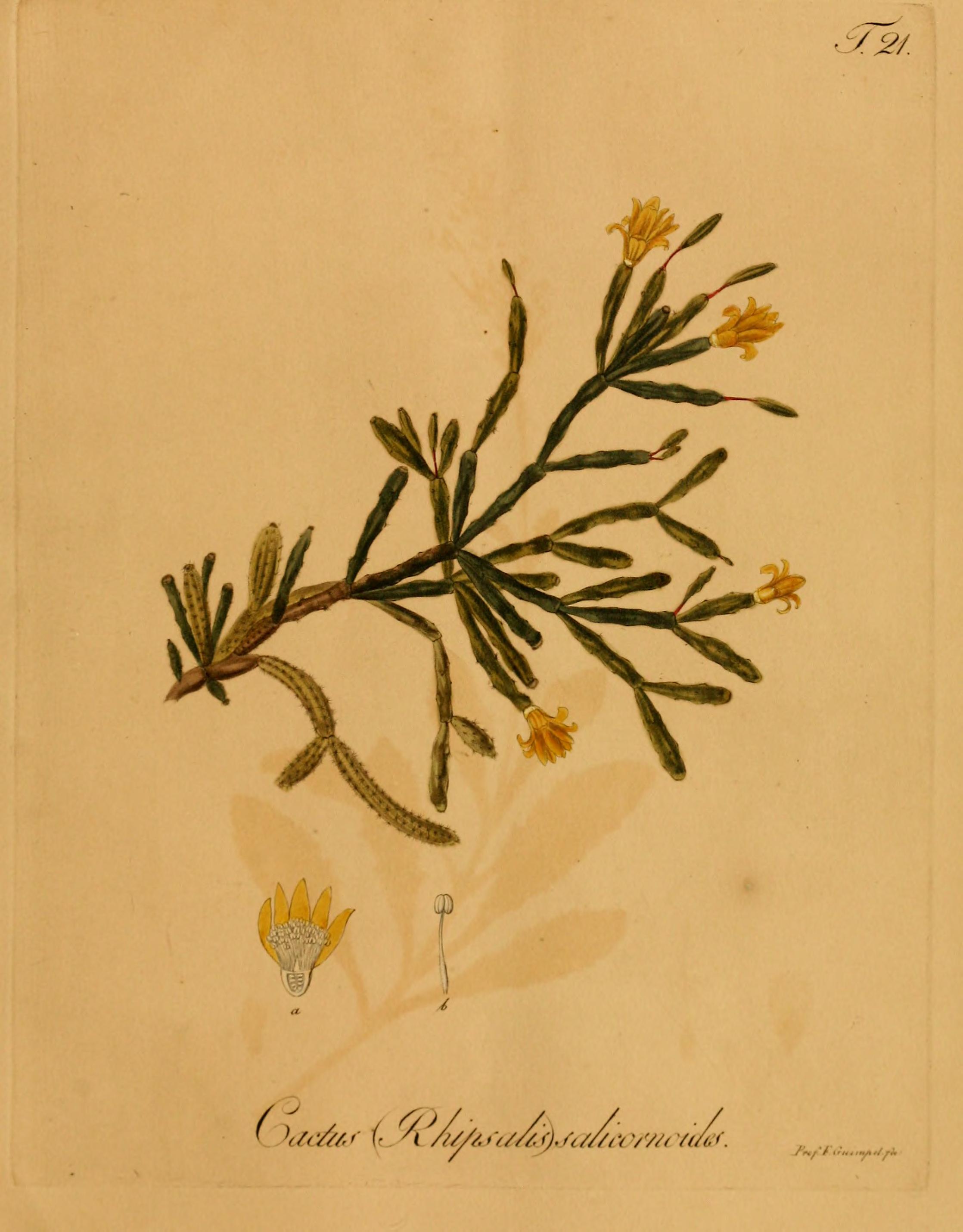 no full size  illustration available (3a)