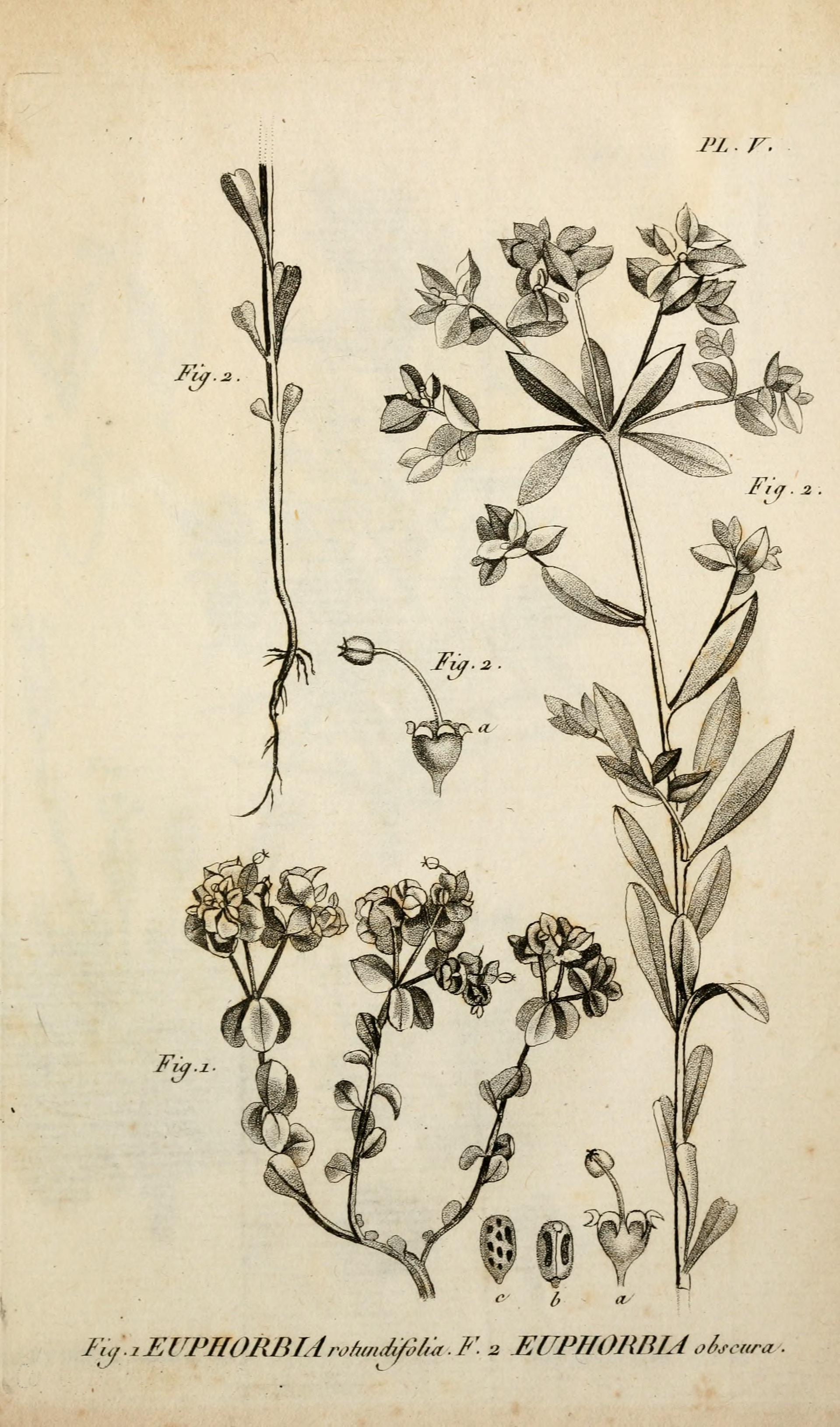 no full size  illustration available (3a)