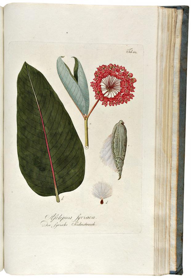 no full size  illustration available (3a)