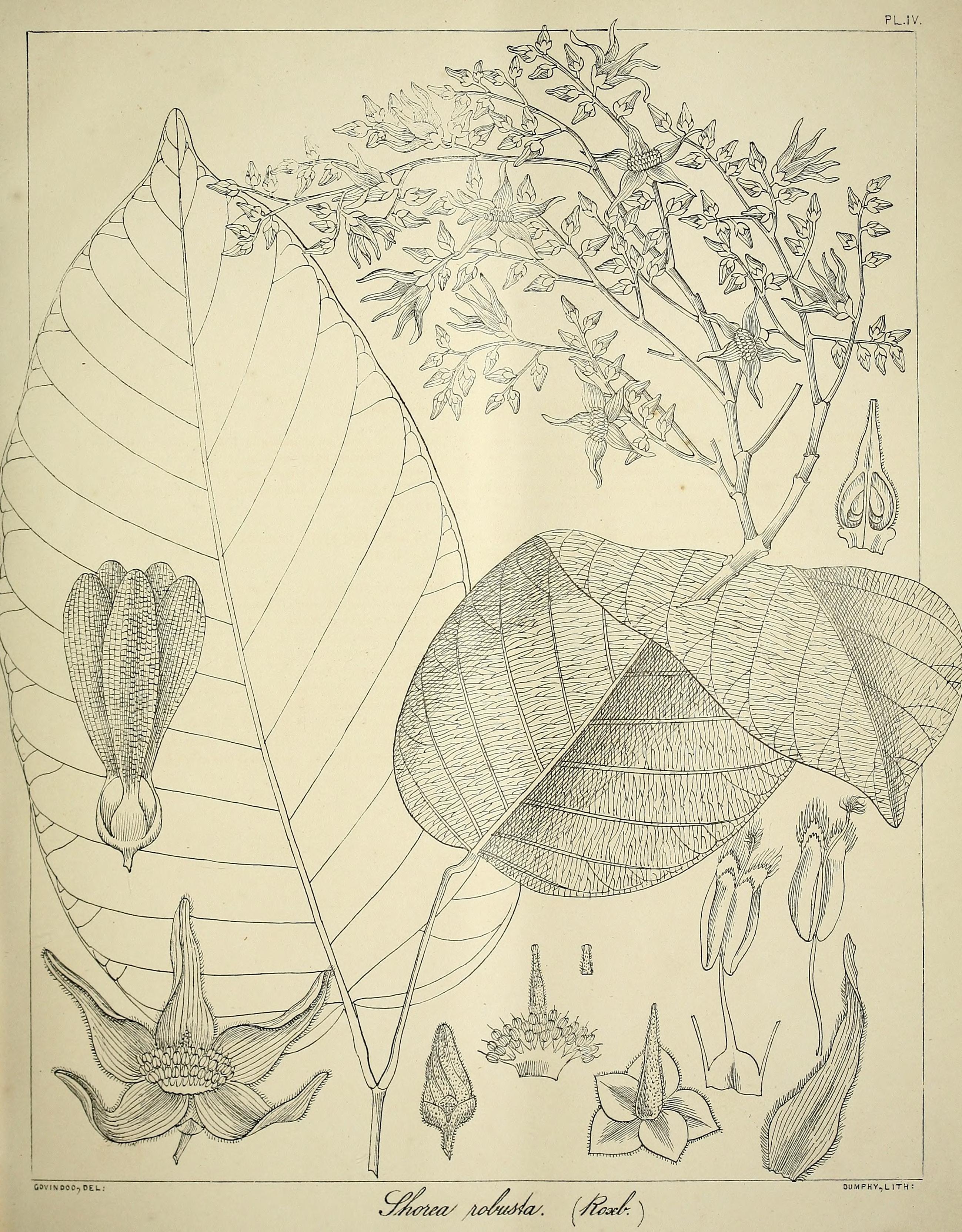 no full size  illustration available (3a)