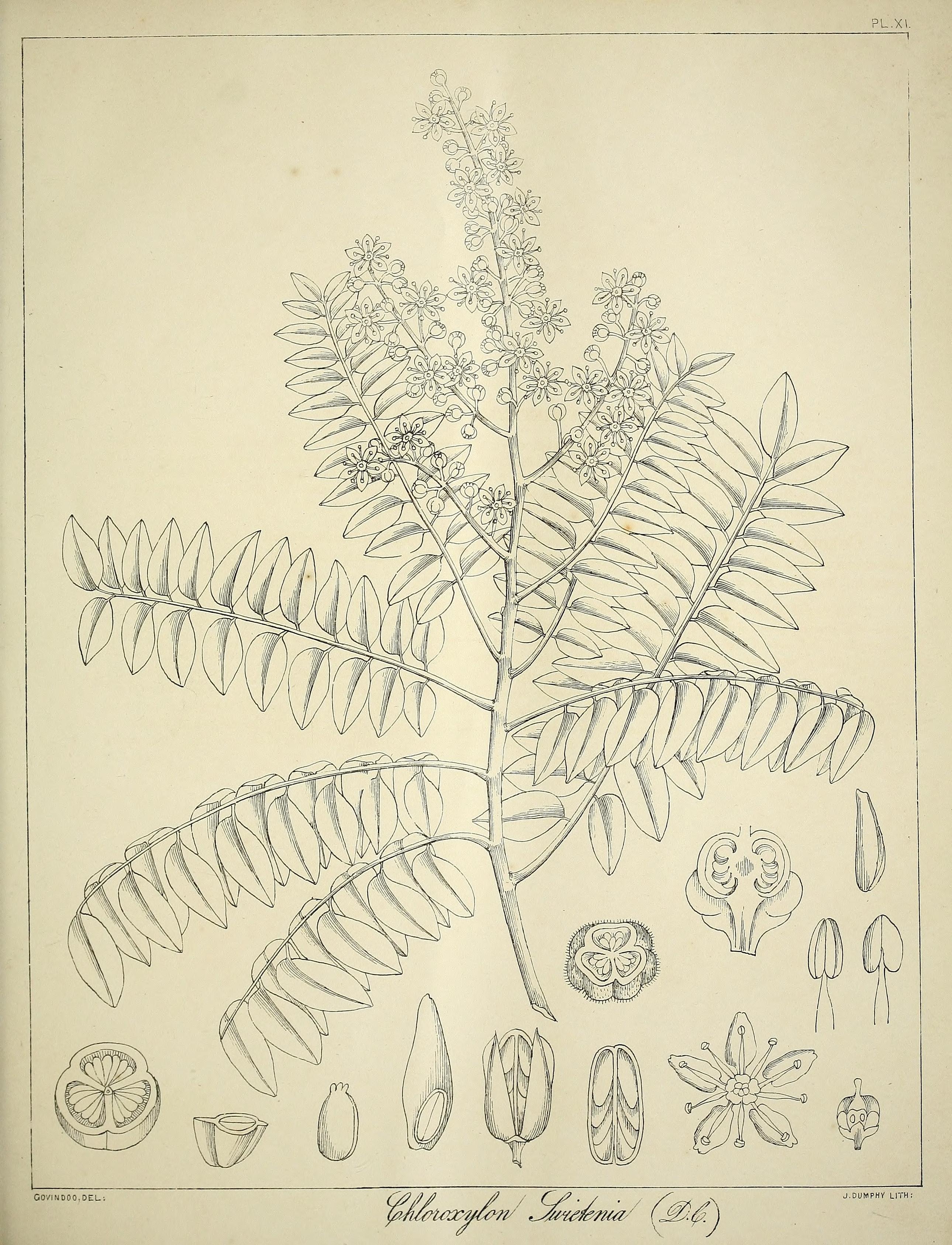 no full size  illustration available (3a)