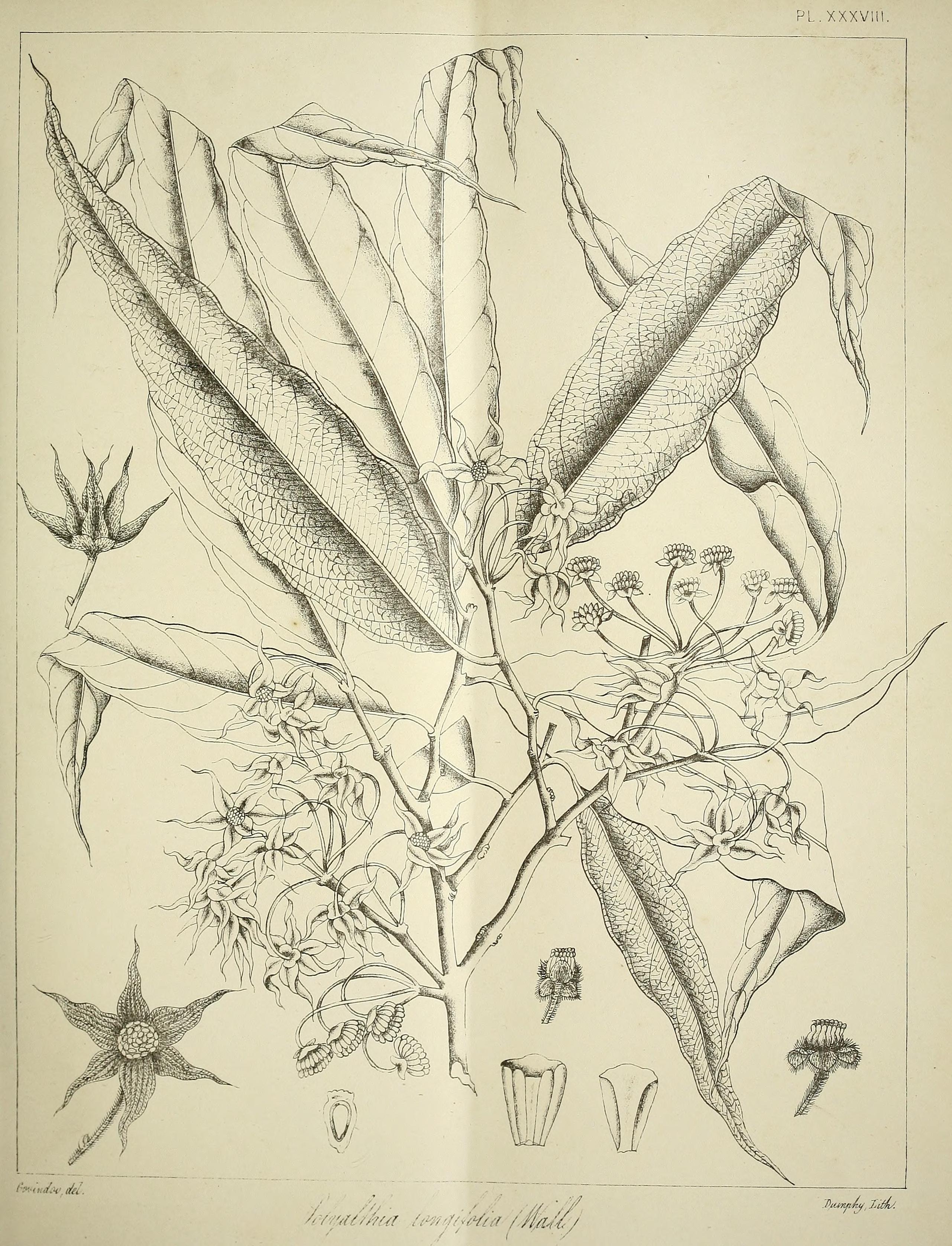 no full size  illustration available (3a)