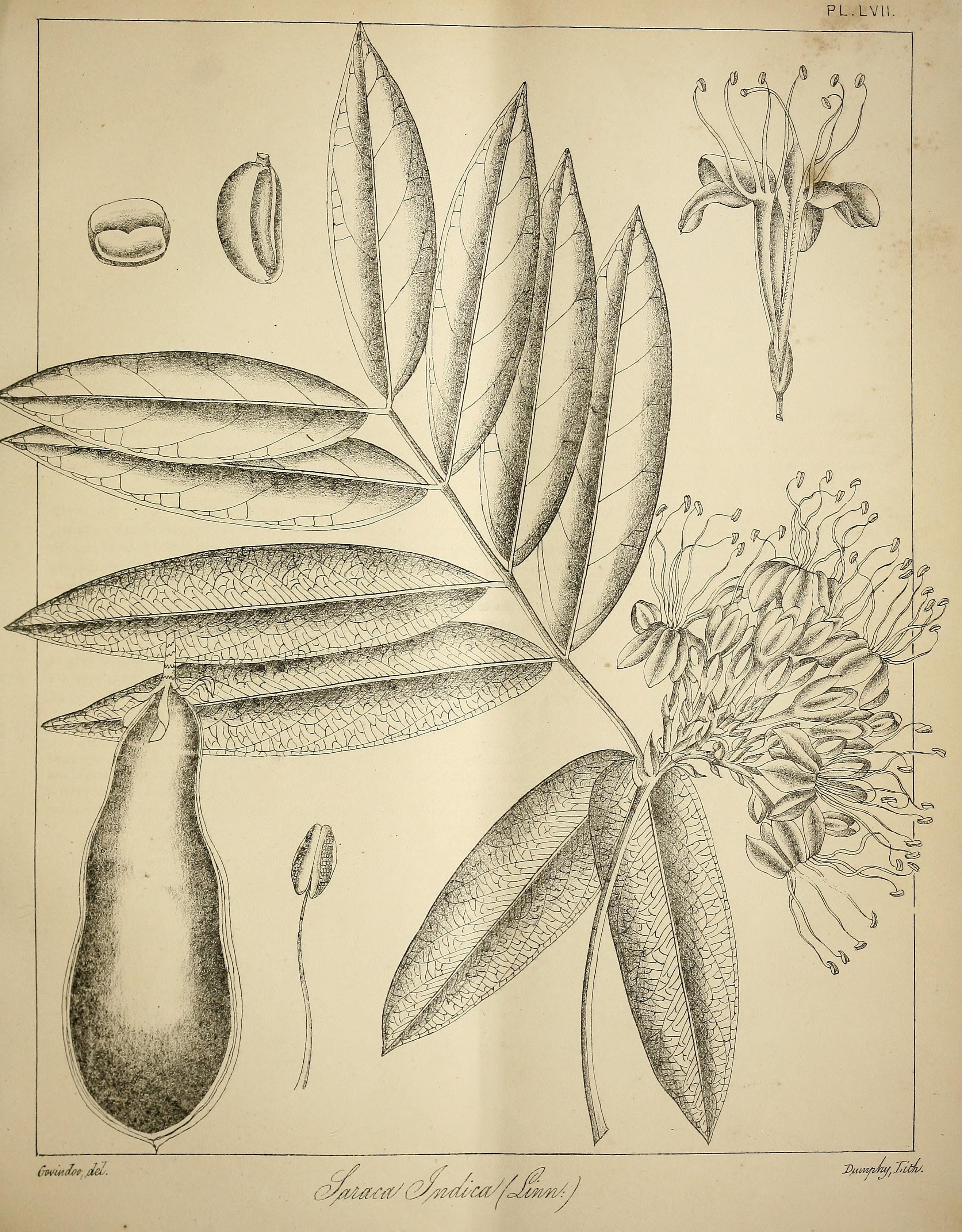 no full size  illustration available (3a)