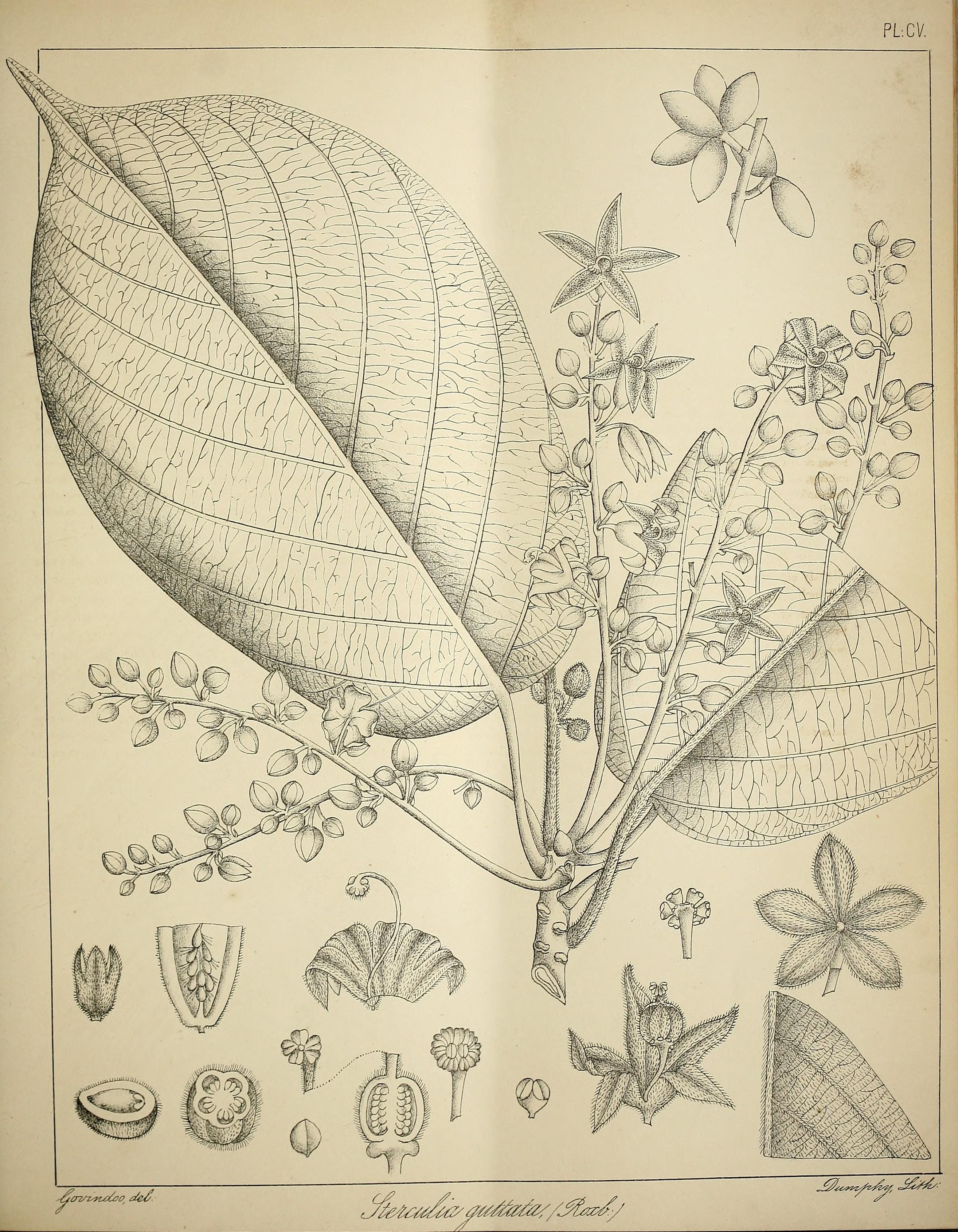 no full size  illustration available (3a)