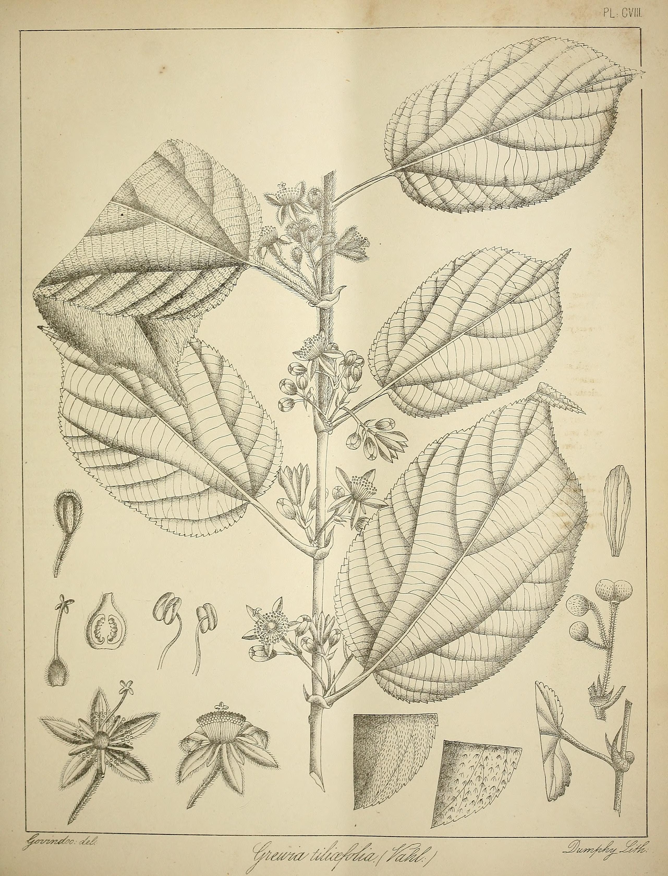 no full size  illustration available (3a)