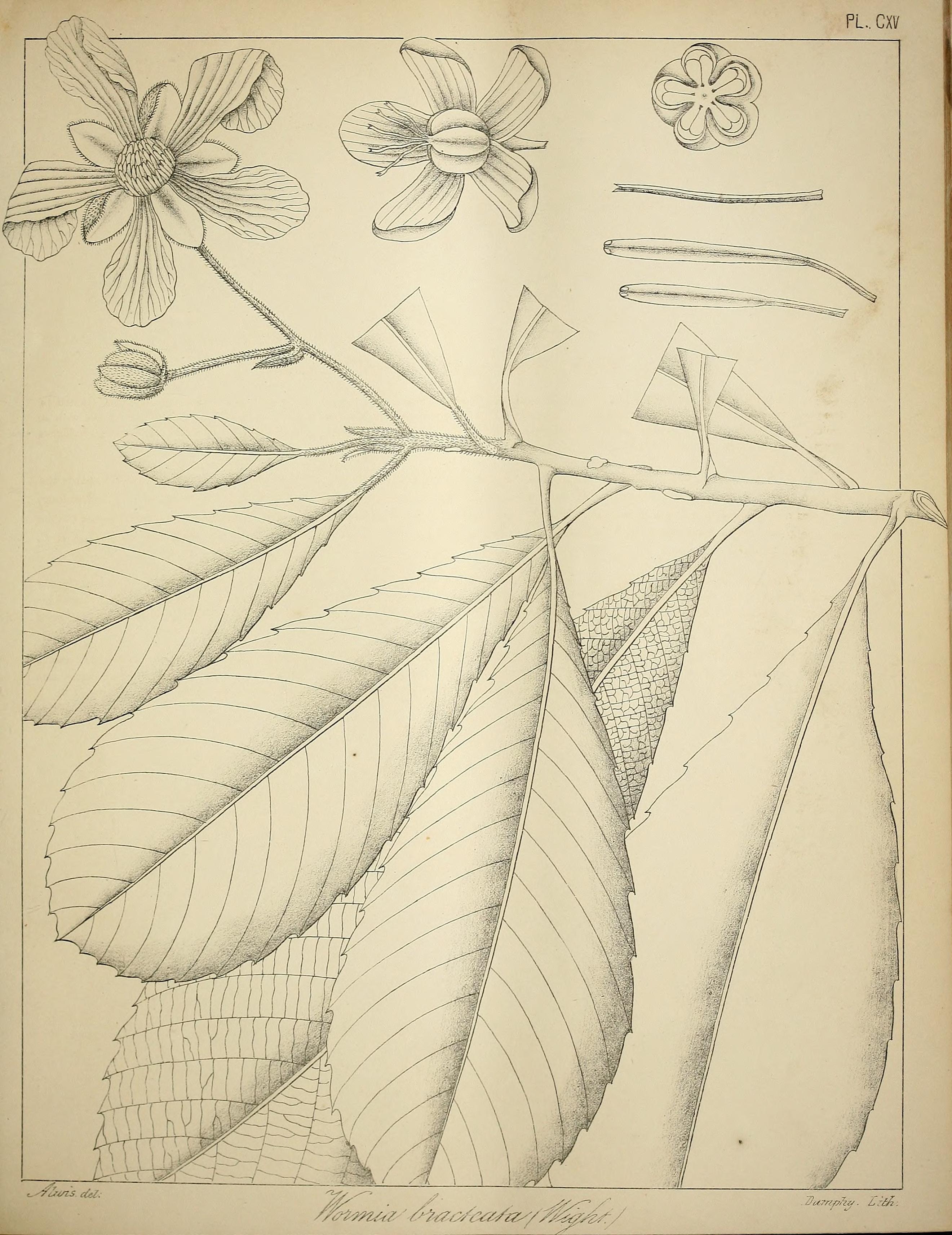 no full size  illustration available (3a)