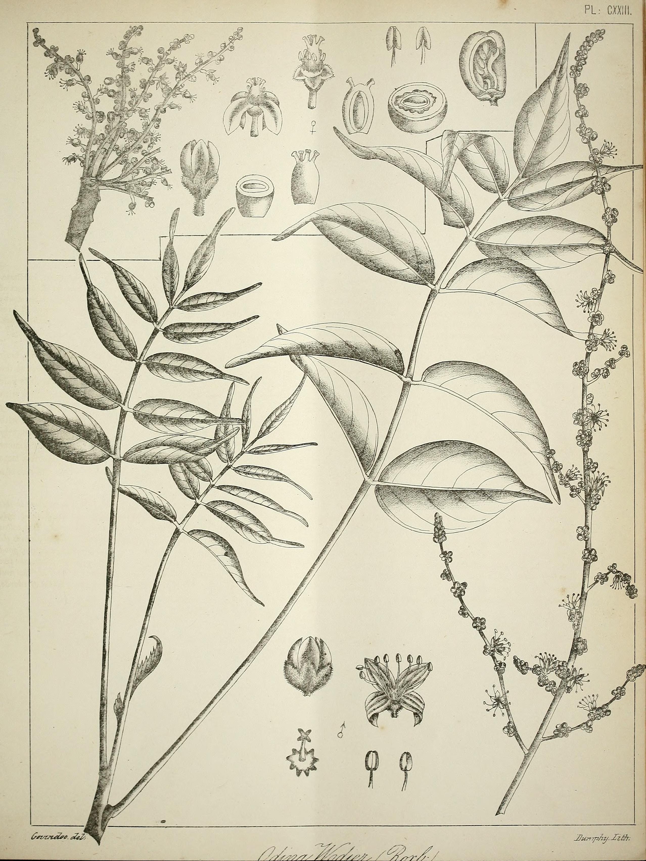 no full size  illustration available (3a)