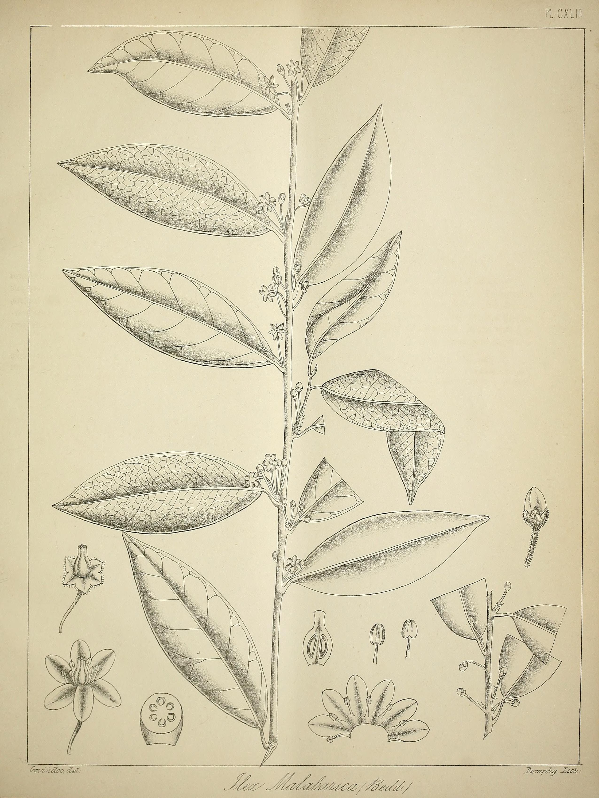 no full size  illustration available (3a)