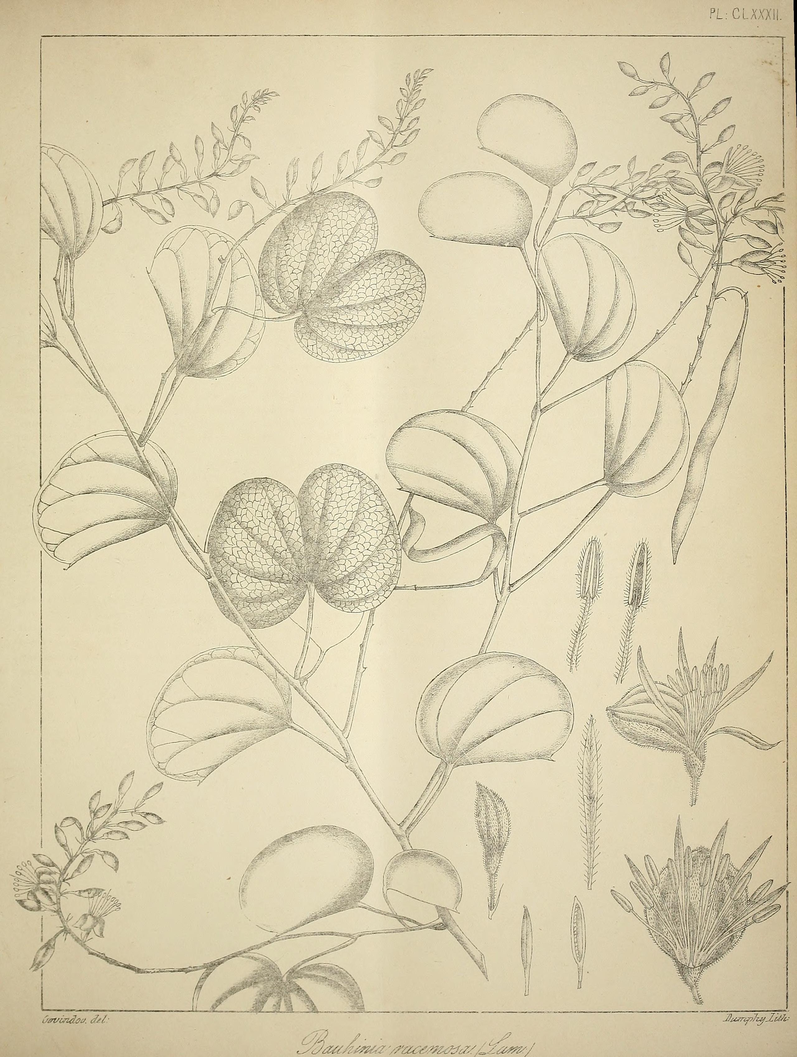 no full size  illustration available (3a)