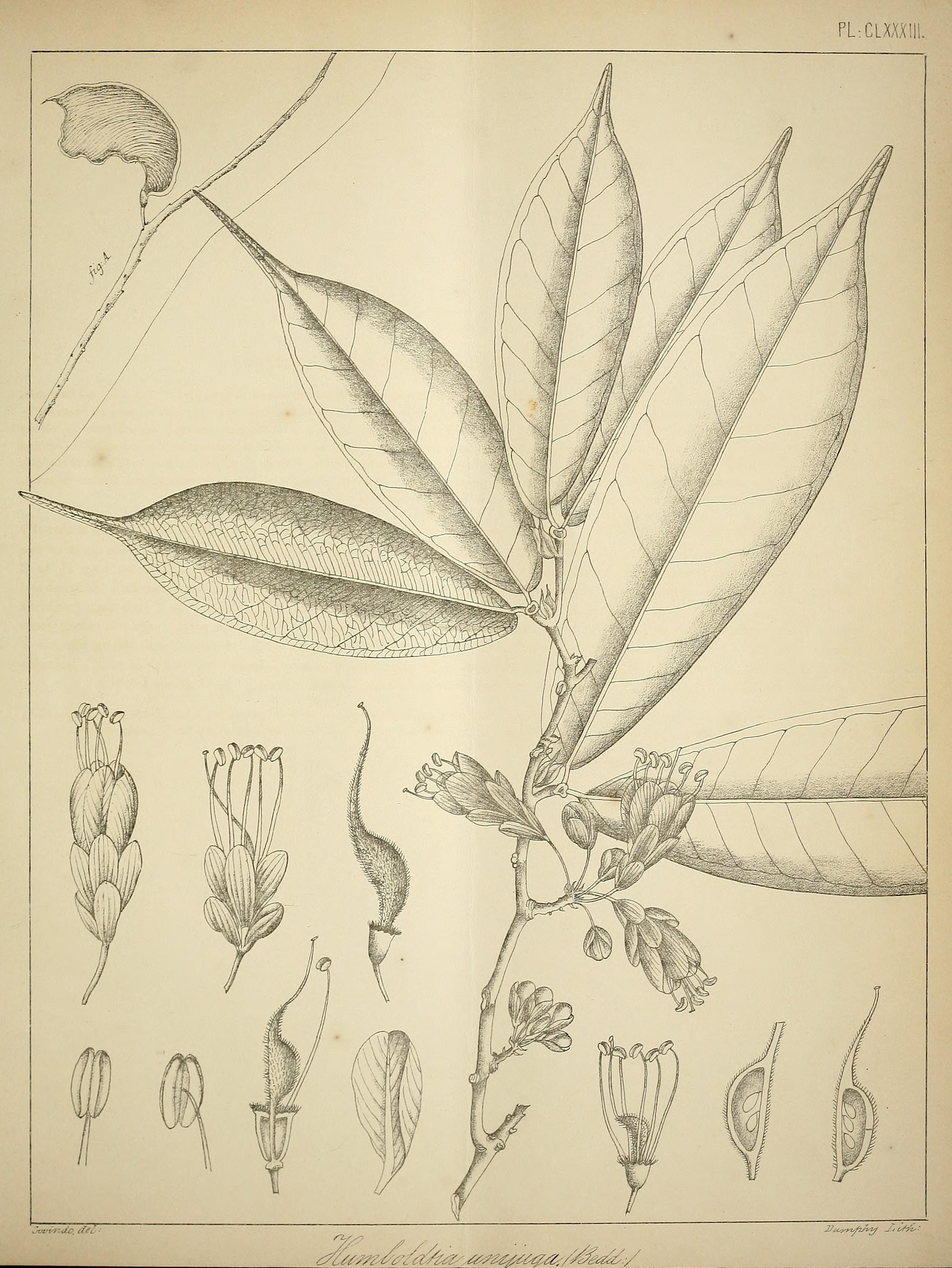 no full size  illustration available (3a)