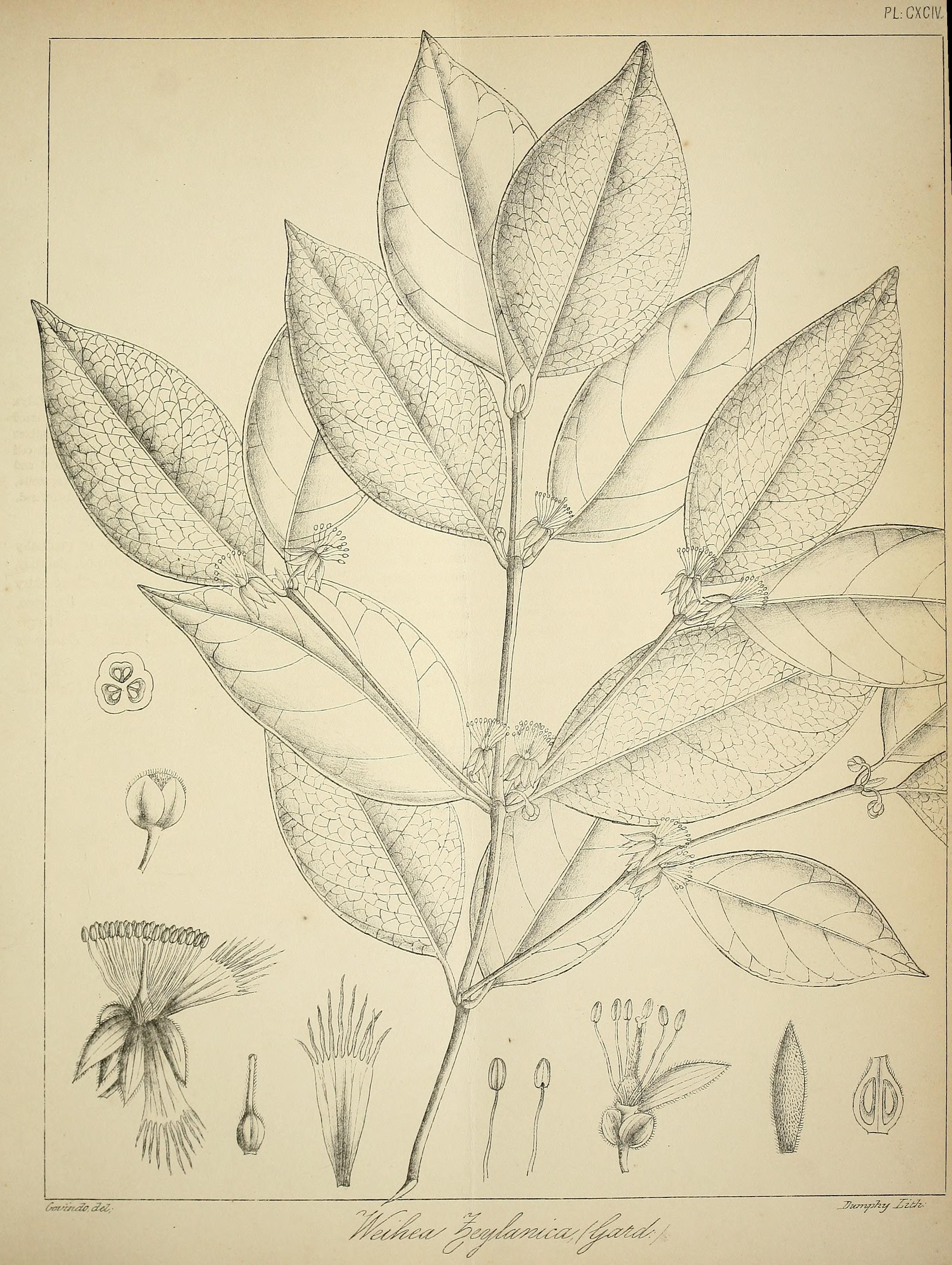 no full size  illustration available (3a)