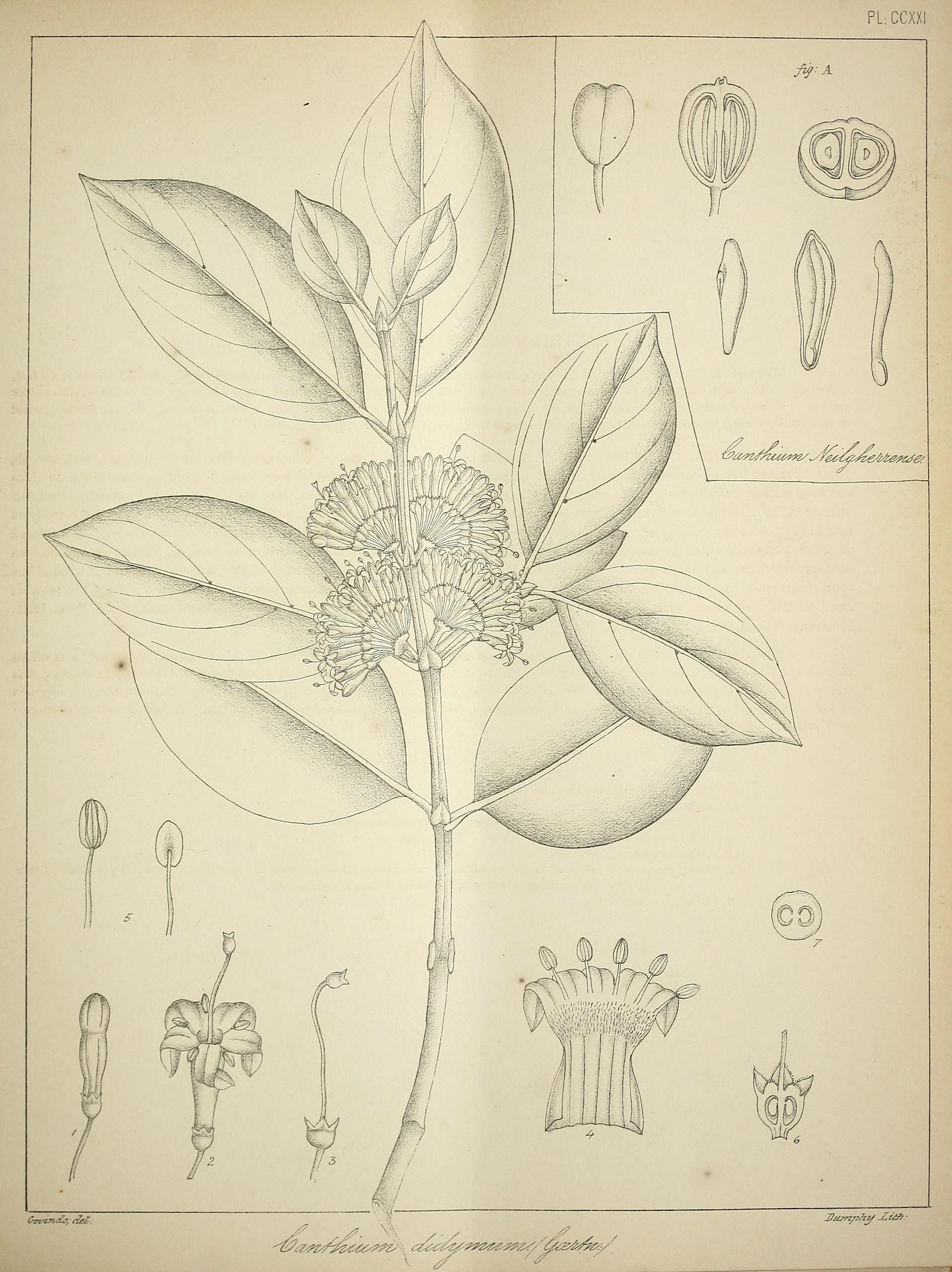 no full size  illustration available (3a)