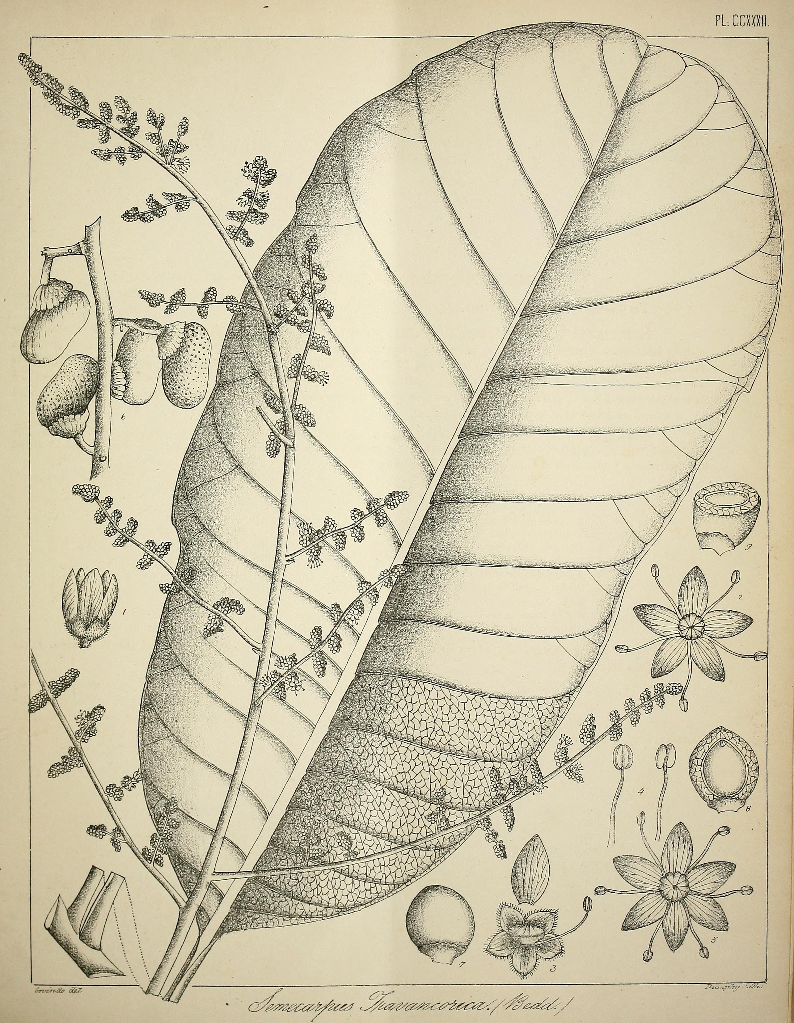 no full size  illustration available (3a)