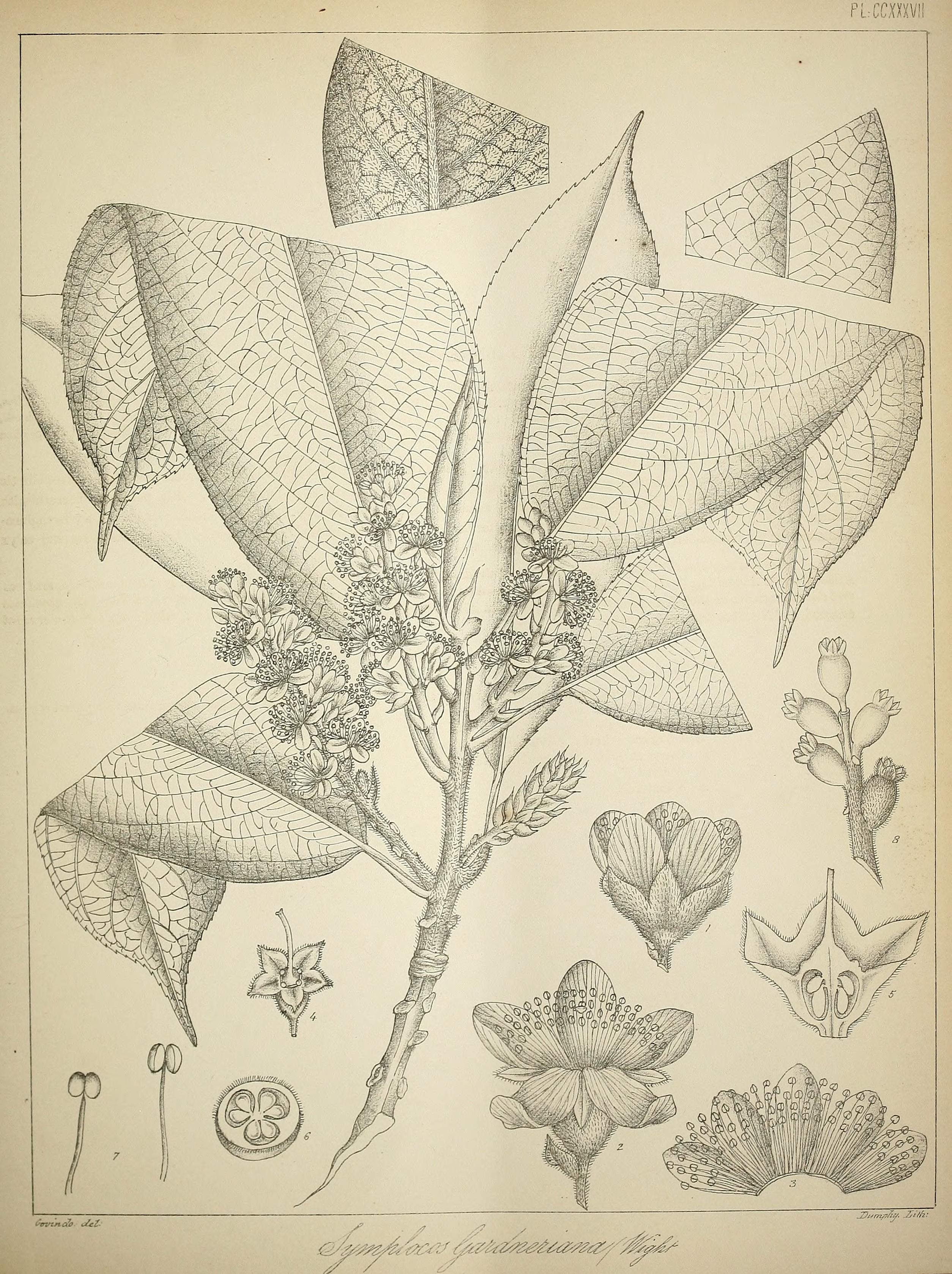 no full size  illustration available (3a)