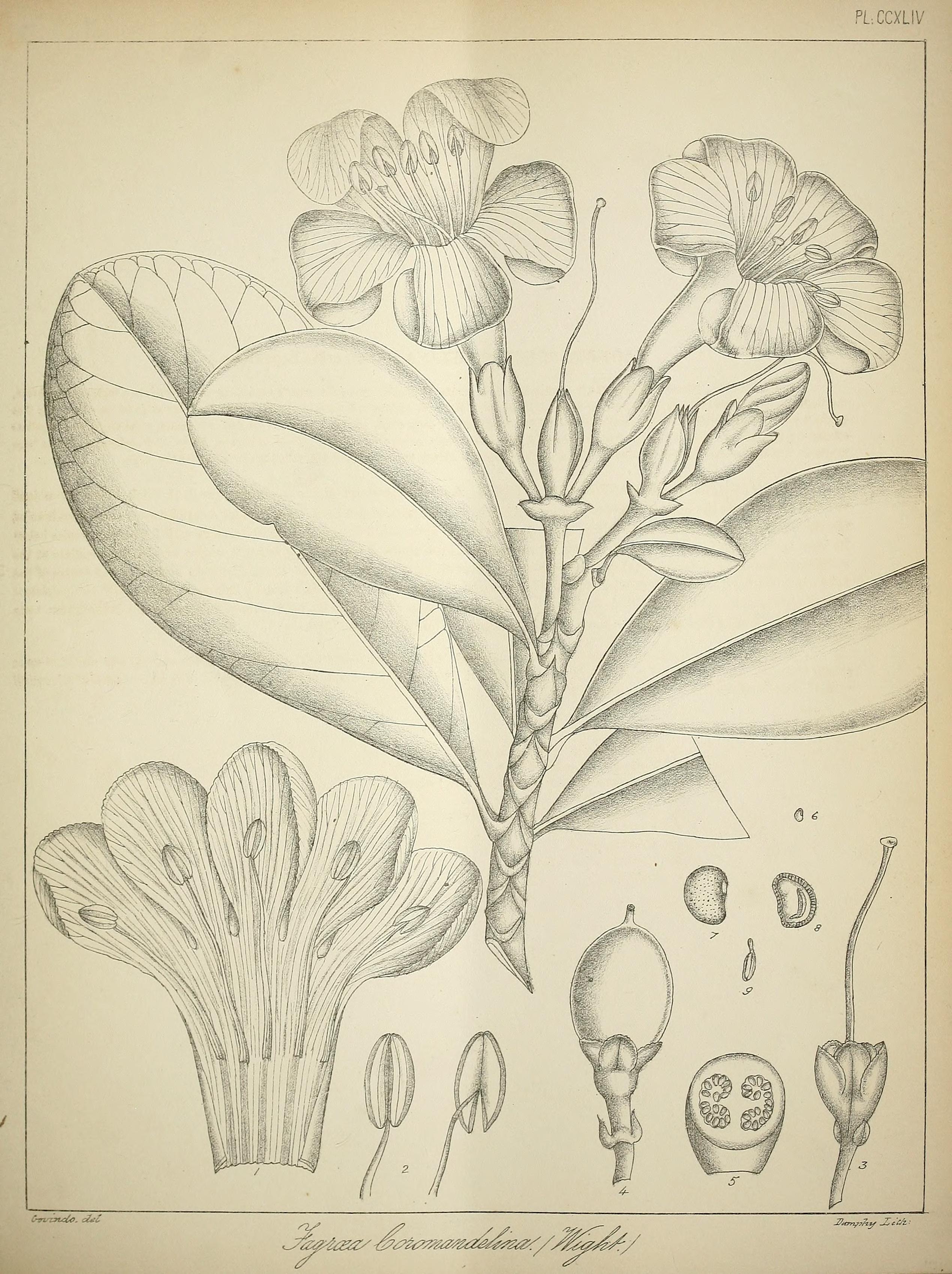 no full size  illustration available (3a)