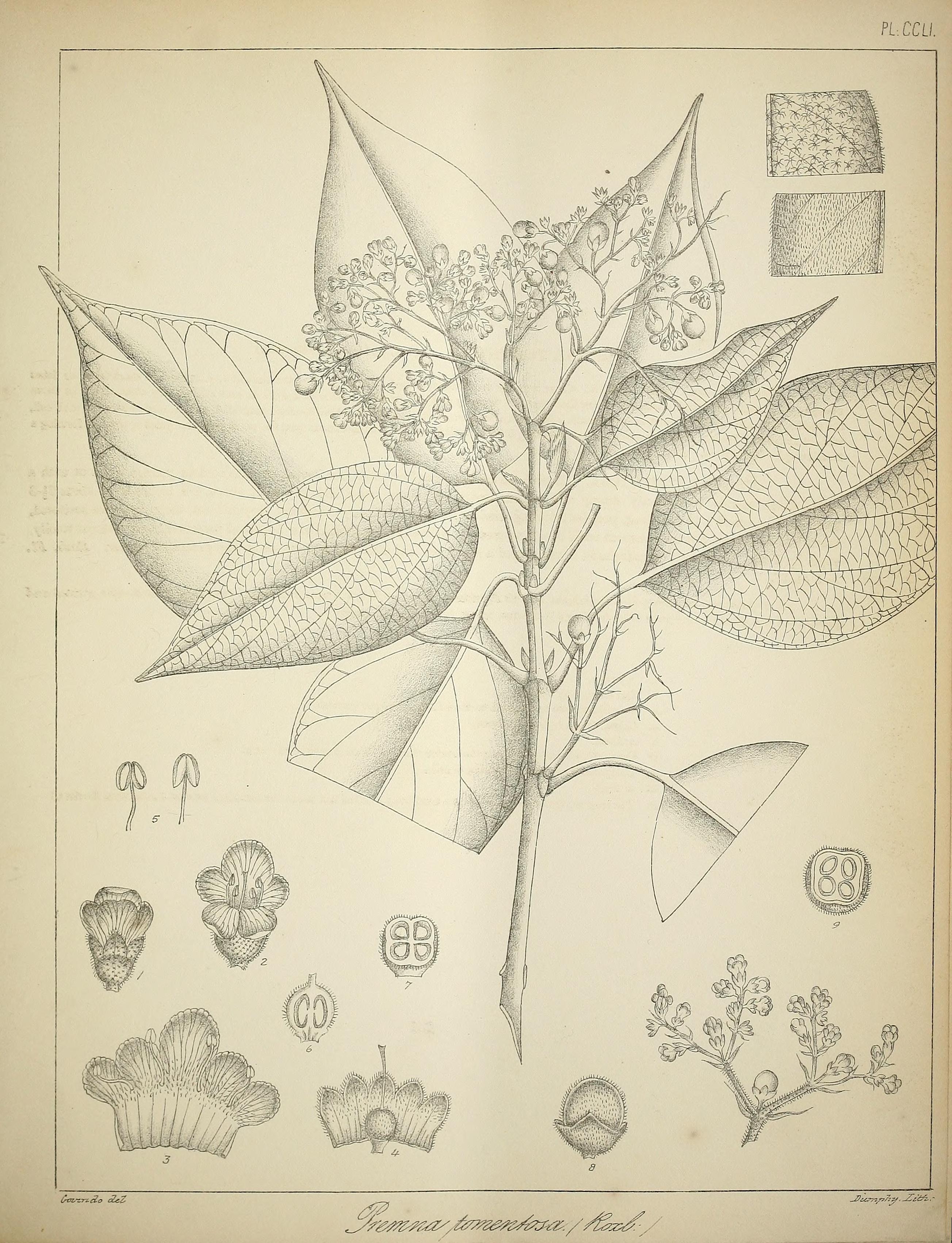 no full size  illustration available (3a)