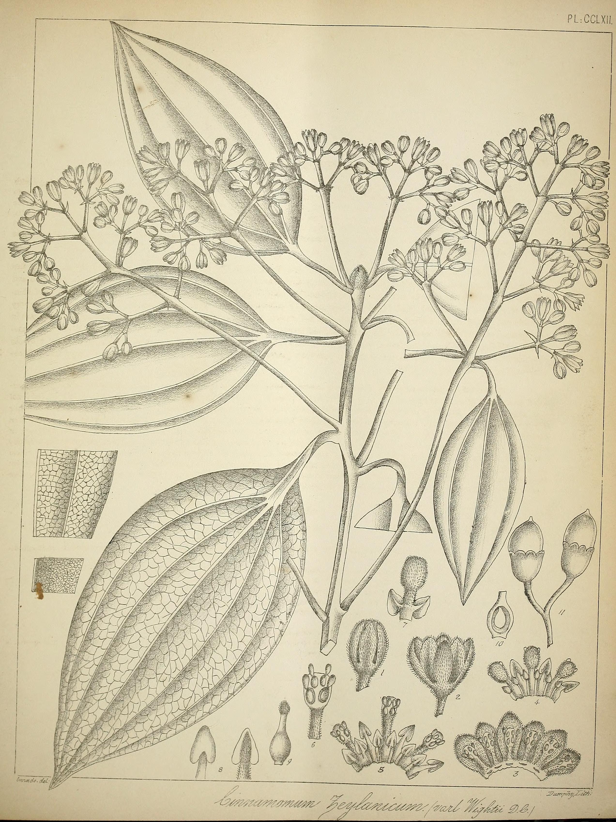 no full size  illustration available (3a)