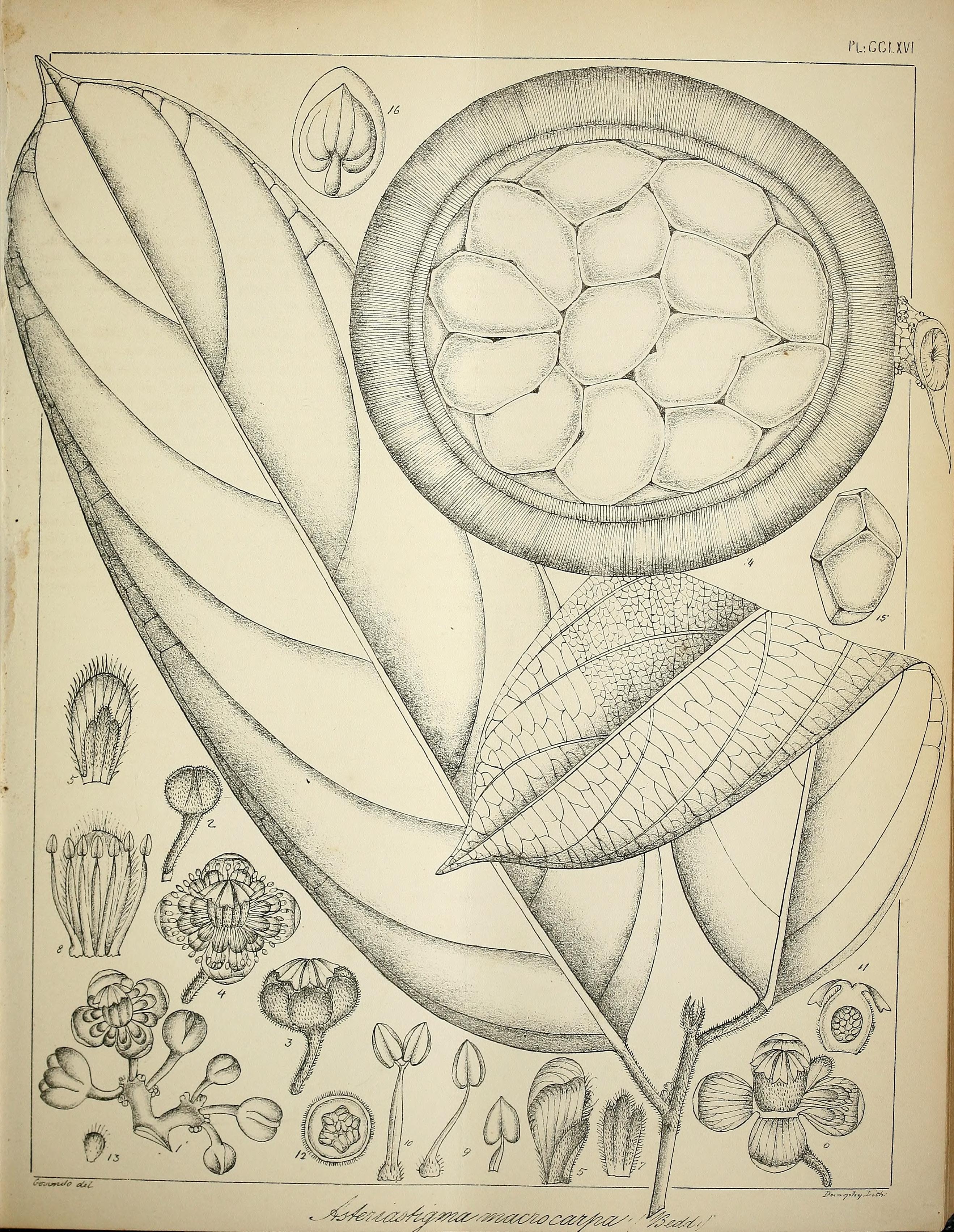 no full size  illustration available (3a)